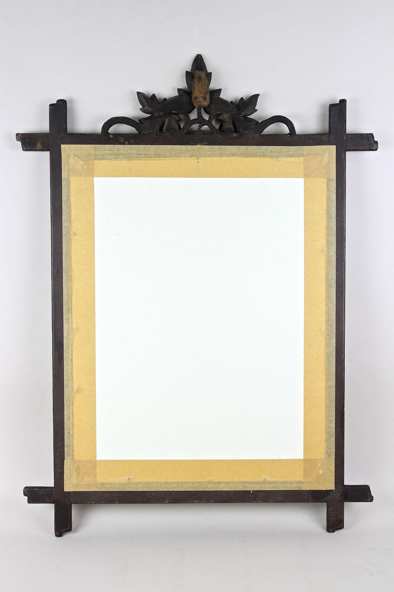 Specchio rustico Black Forest del XIX secolo, intagliato a mano, Germania, 1870 ca. in vendita 13