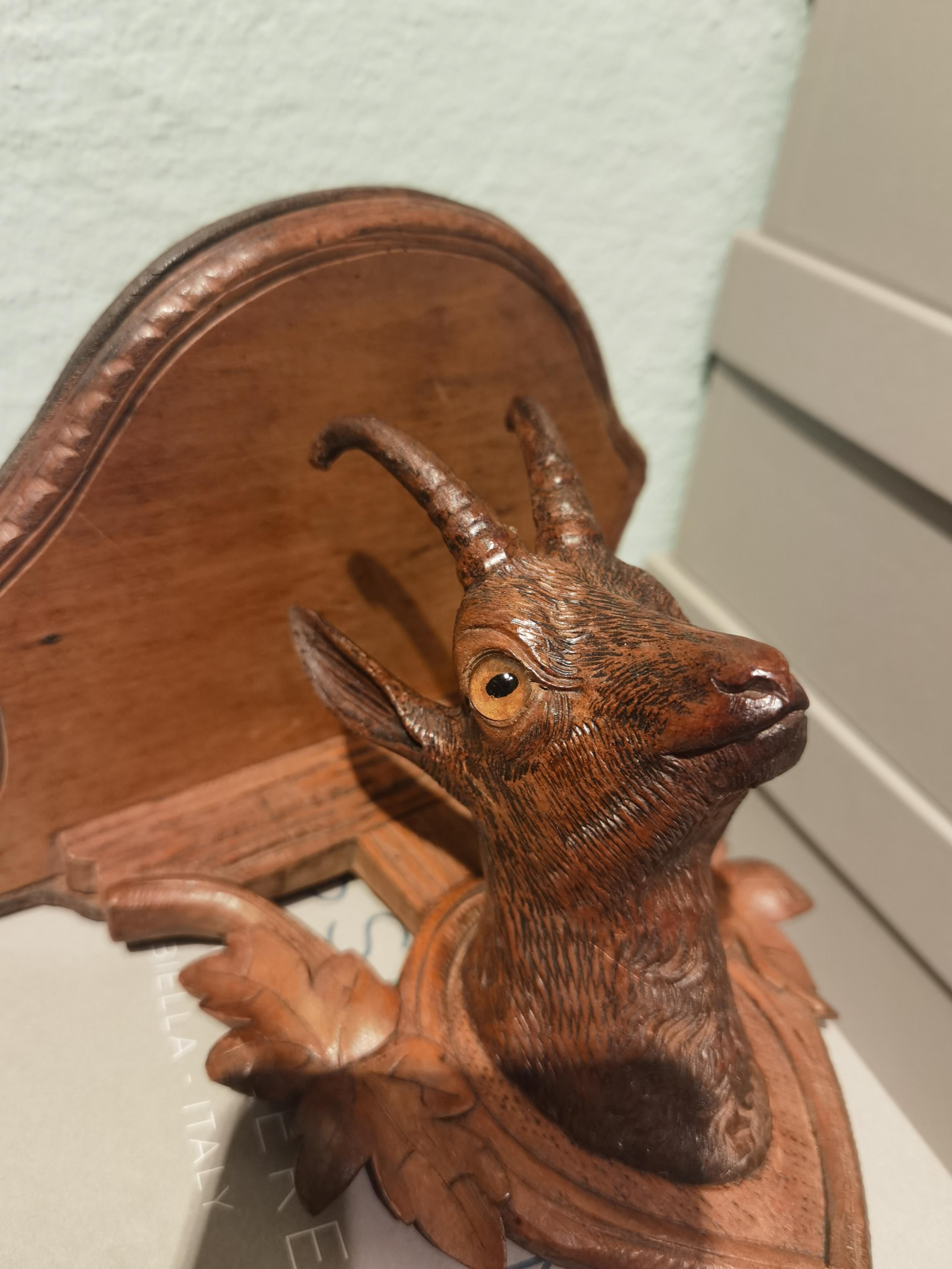 Small charming konsole with a deer head with glass eyes carved from wood mounted on a wood plaque. The plaque is beautiful hand carved with oak leaves. A small wood piece is missing. See last photo.
Very decorative because of the rare small seize.