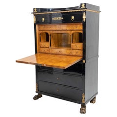 19th Century Black French Empire Polished Ebony Secretary, Antique Birch Cabinet