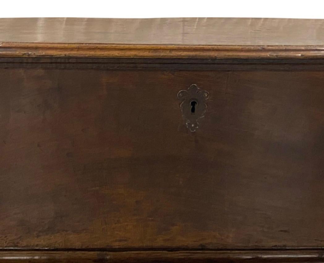 19th Century Blanket Chest with Wrought Iron Fittings For Sale 1