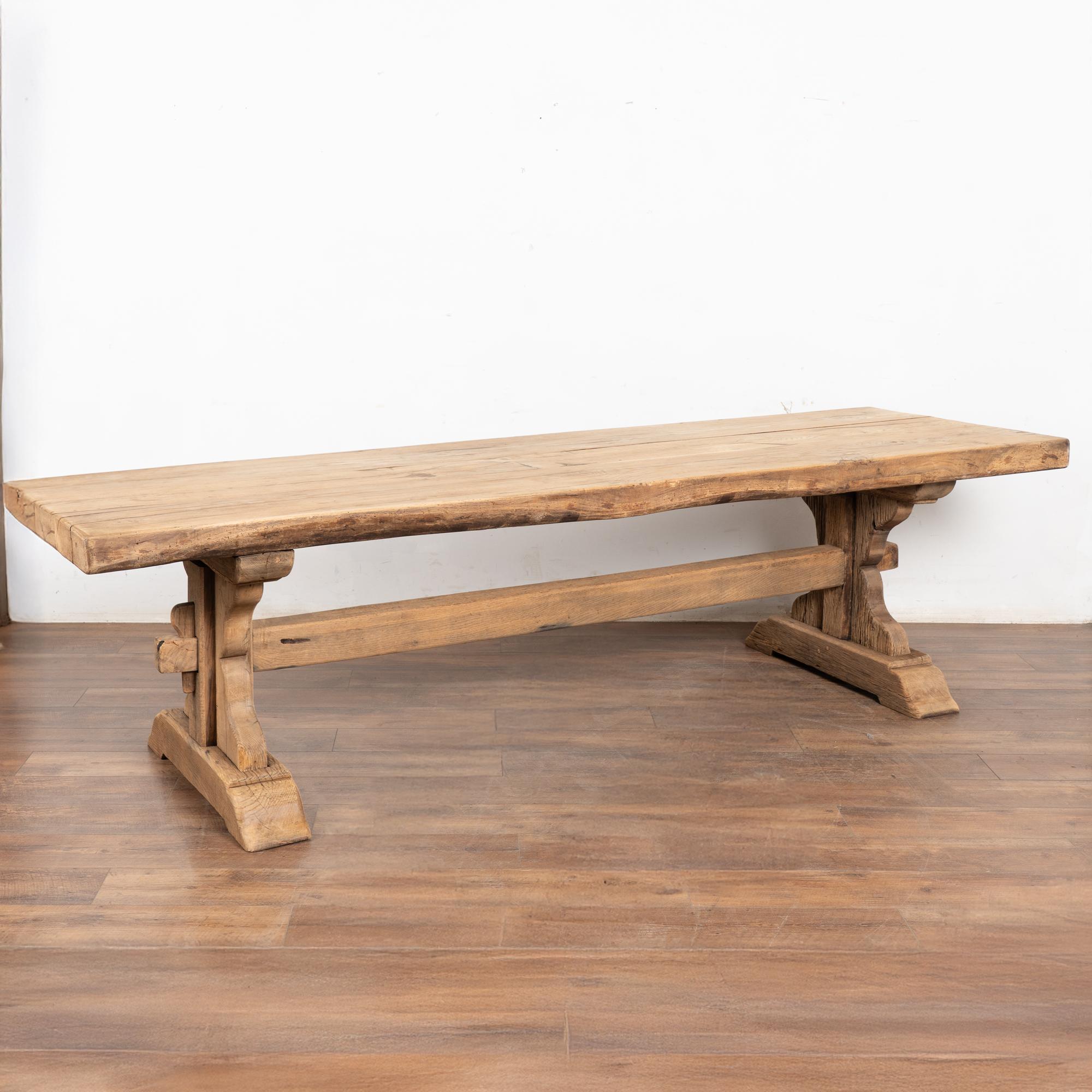 Table de salle à manger en chêne français blanchi du XIXe siècle avec un plateau substantiel de 3 pouces d'épaisseur et une base à tréteaux. Plus de neuf pieds de long avec des pieds et un châssis très lourds. Une table de campagne française