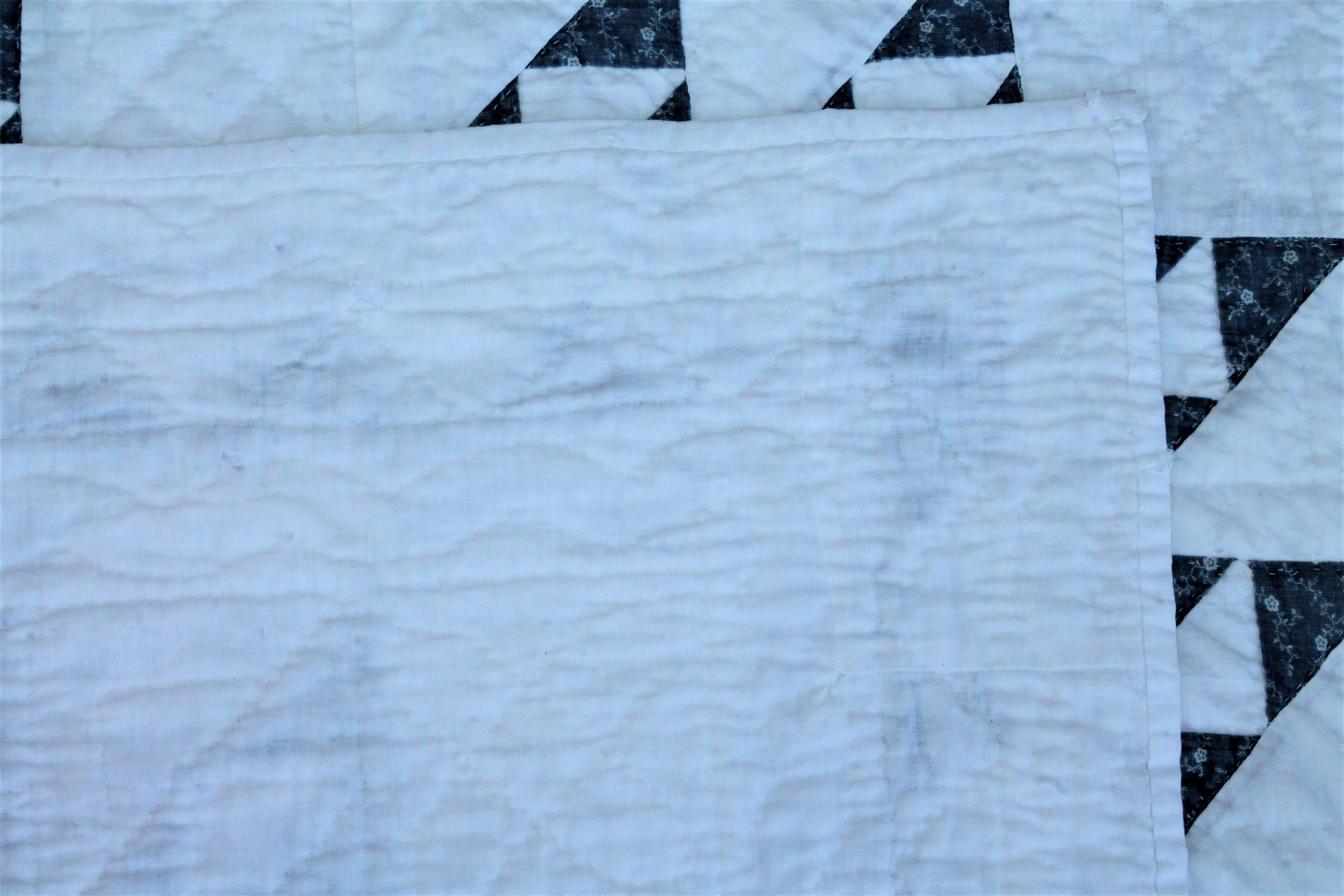 Late 19th Century 19th Century Blue and White Crib Quilt For Sale
