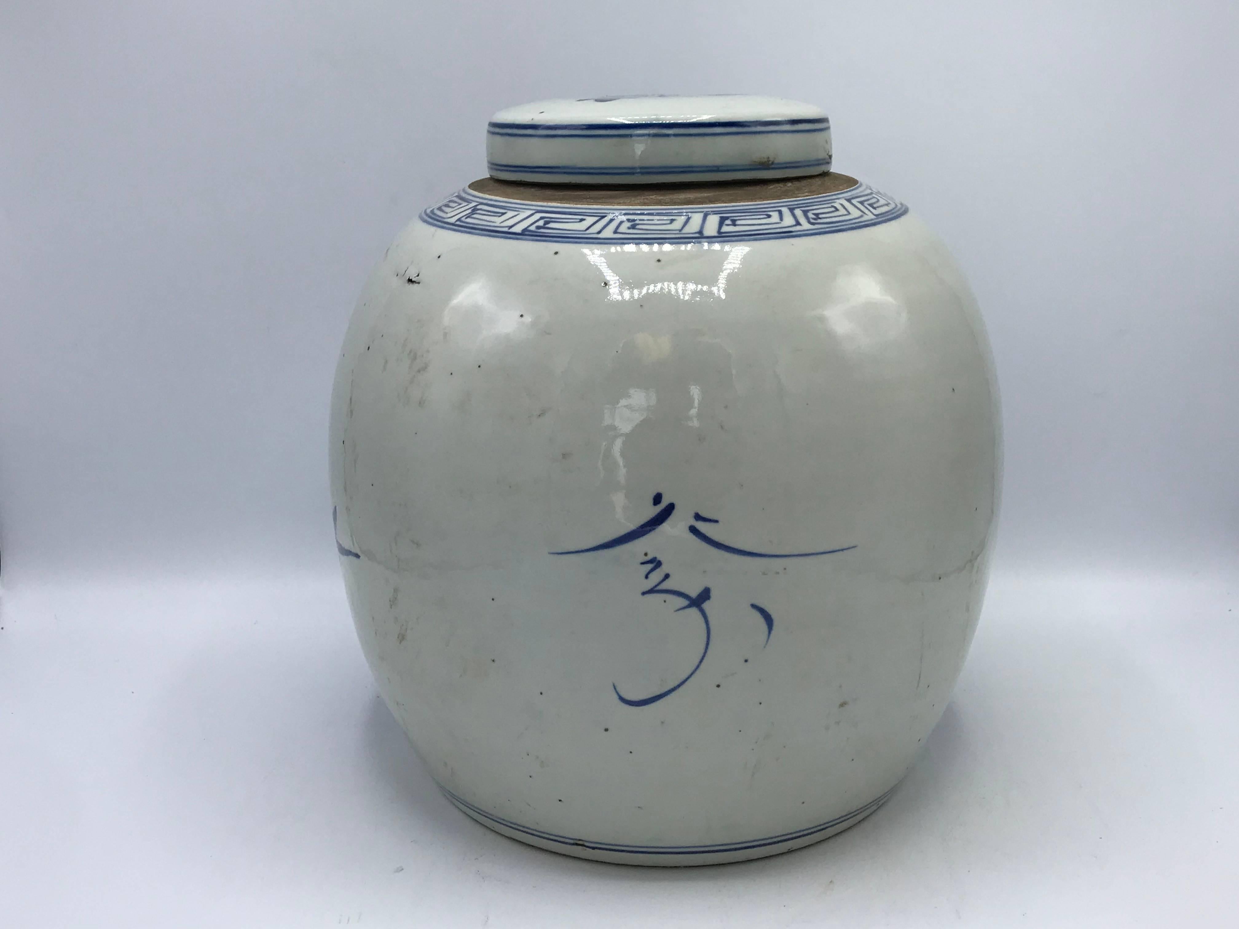 Chinoiserie 19th Century Blue and White Ginger Jar with Bird and Floral Motif