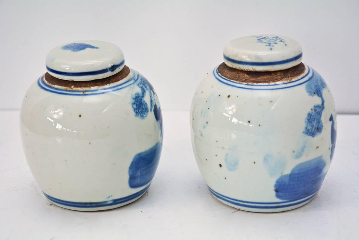 Chinese Export Pair of Petite 19th Century Blue and White Ginger Jars