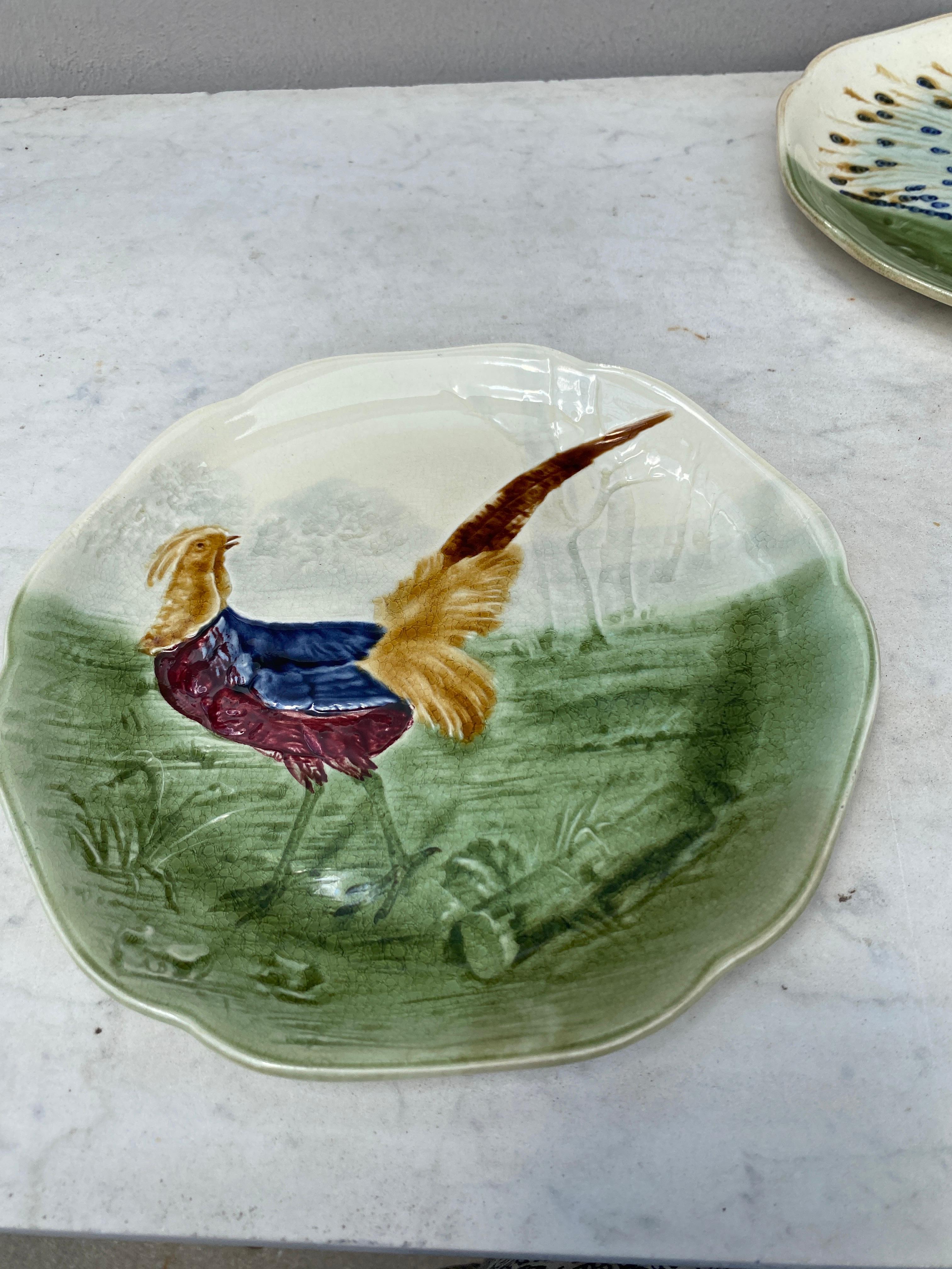 Country 19th Century Majolica Pheasant Plate Choisy Le Roi For Sale