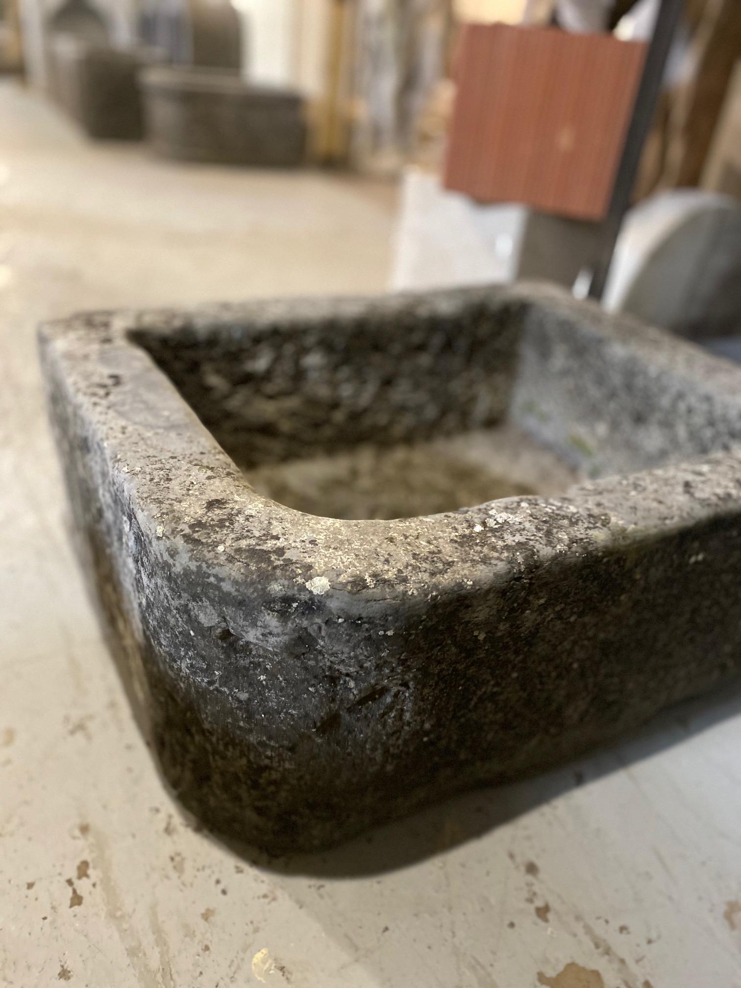 European 19th Century Bluestone Sink