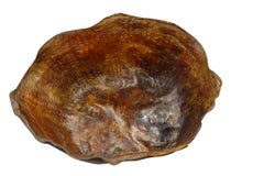 19th Century Borneo Buffalo Skin Bowl