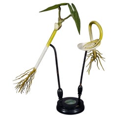 19th Century Botanic Model by Robert Brendel - Bean Seedling
