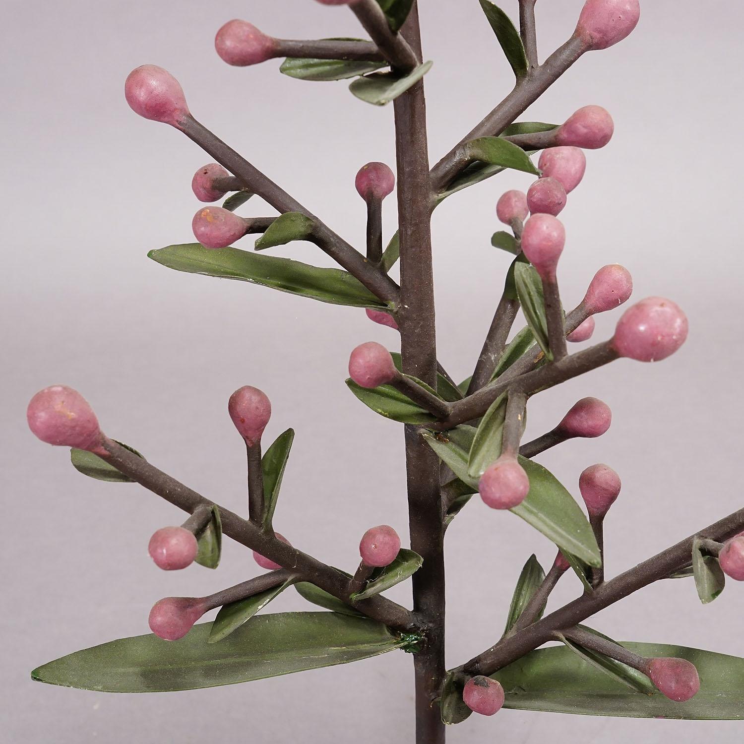 Modelo botánico del siglo XIX de Robert Brendel - Panicula (panícula) siglo XX