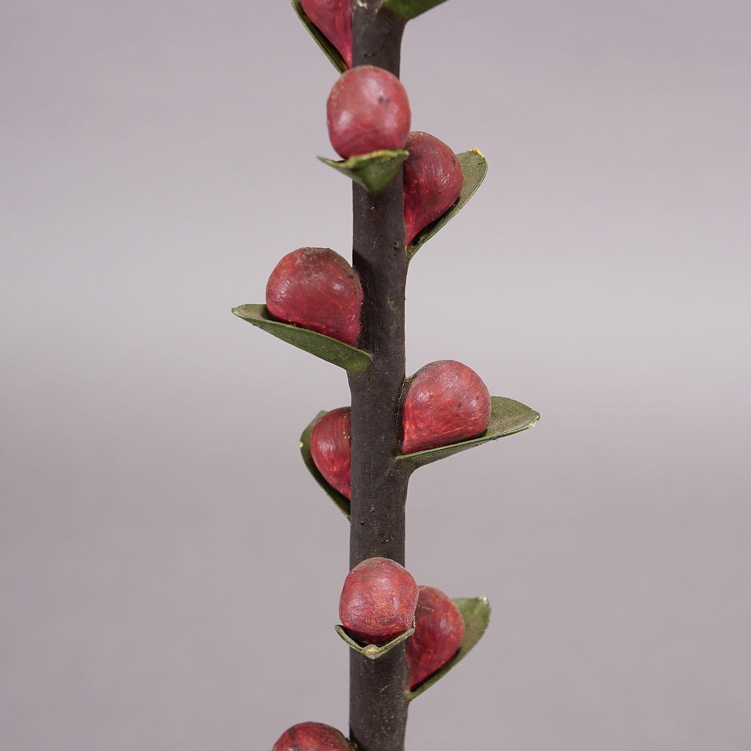 Modèle botanique du 19e siècle par Robert Brendel - Spica (oreille simple) Bon état - En vente à Berghuelen, DE