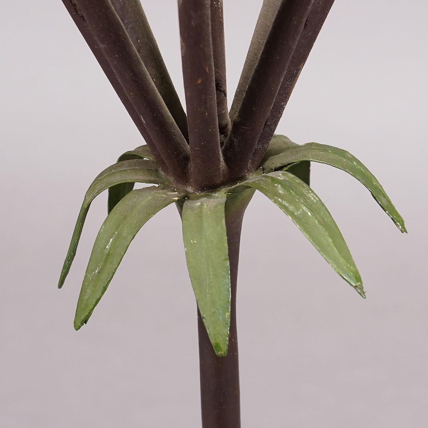 Allemand Modèle botanique du 19ème siècle par Robert Brendel - Umbella (ombelle) en vente