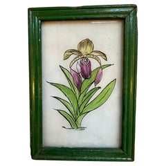Estudio Botánico del Siglo XIX: Exquisita pintura de flores