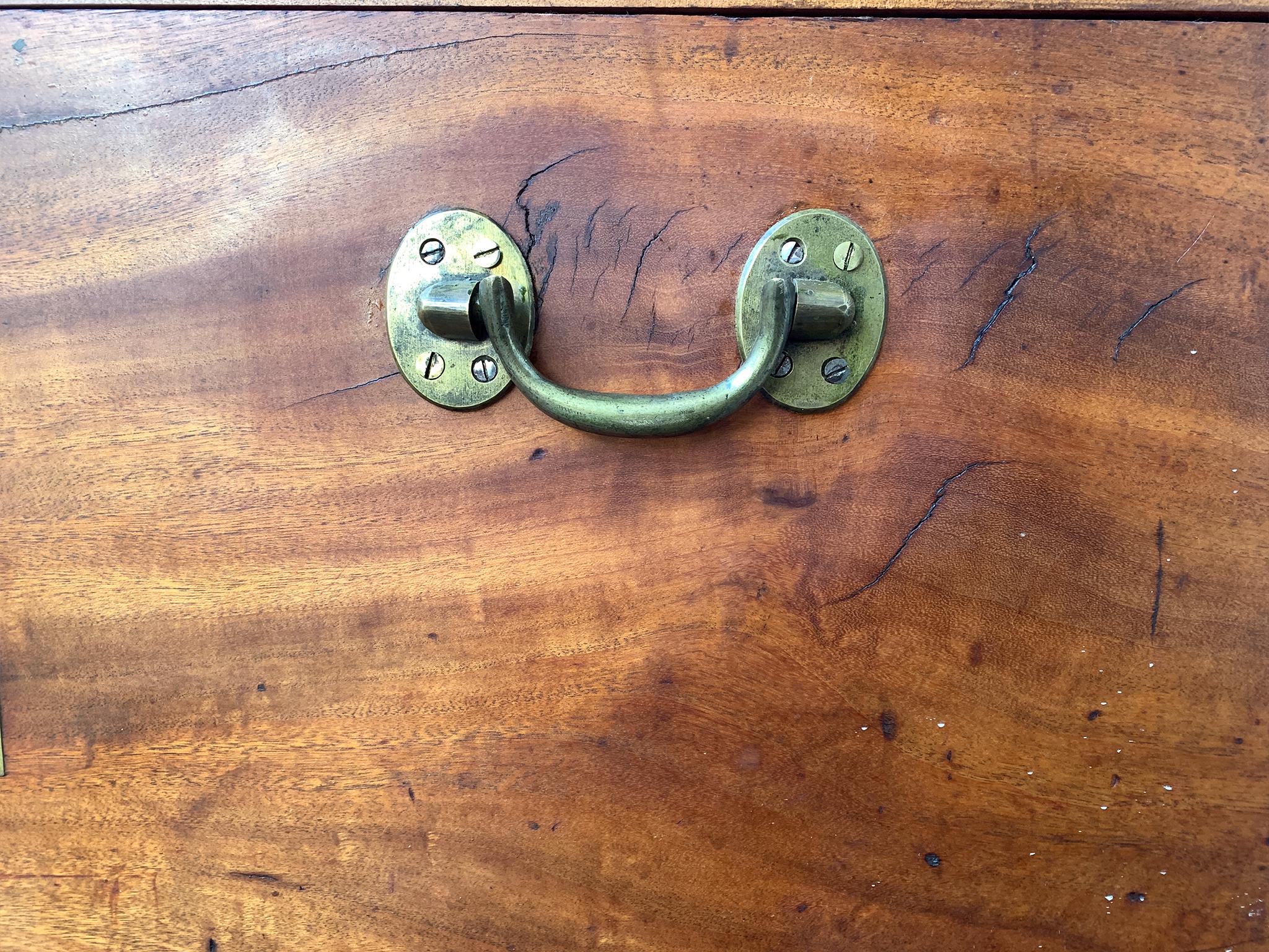 19th Century Brass-Bound Camphorwood Chest For Sale 3