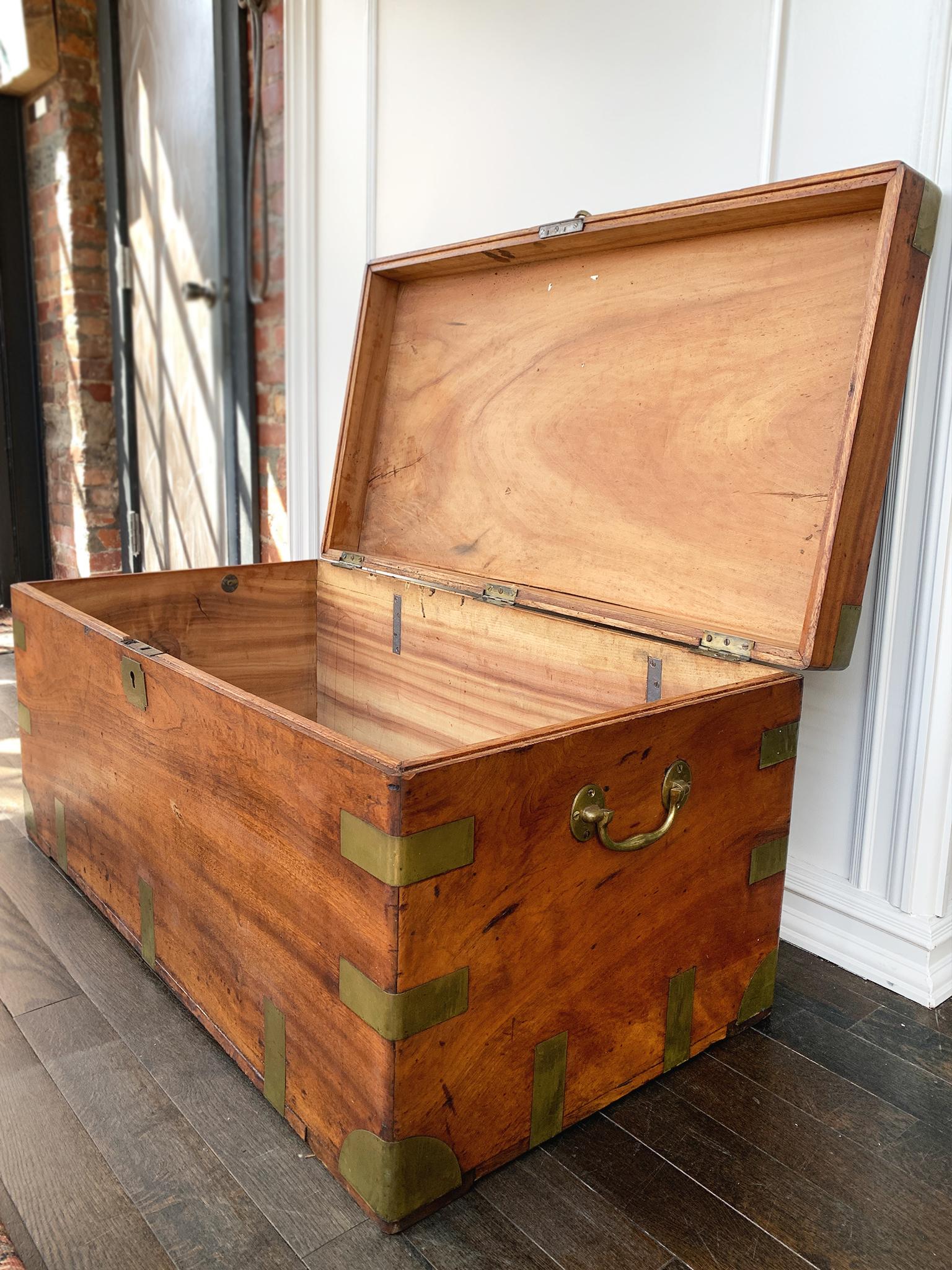 Cassapanca in legno di canfora rilegata in ottone del XIX secolo in vendita 7