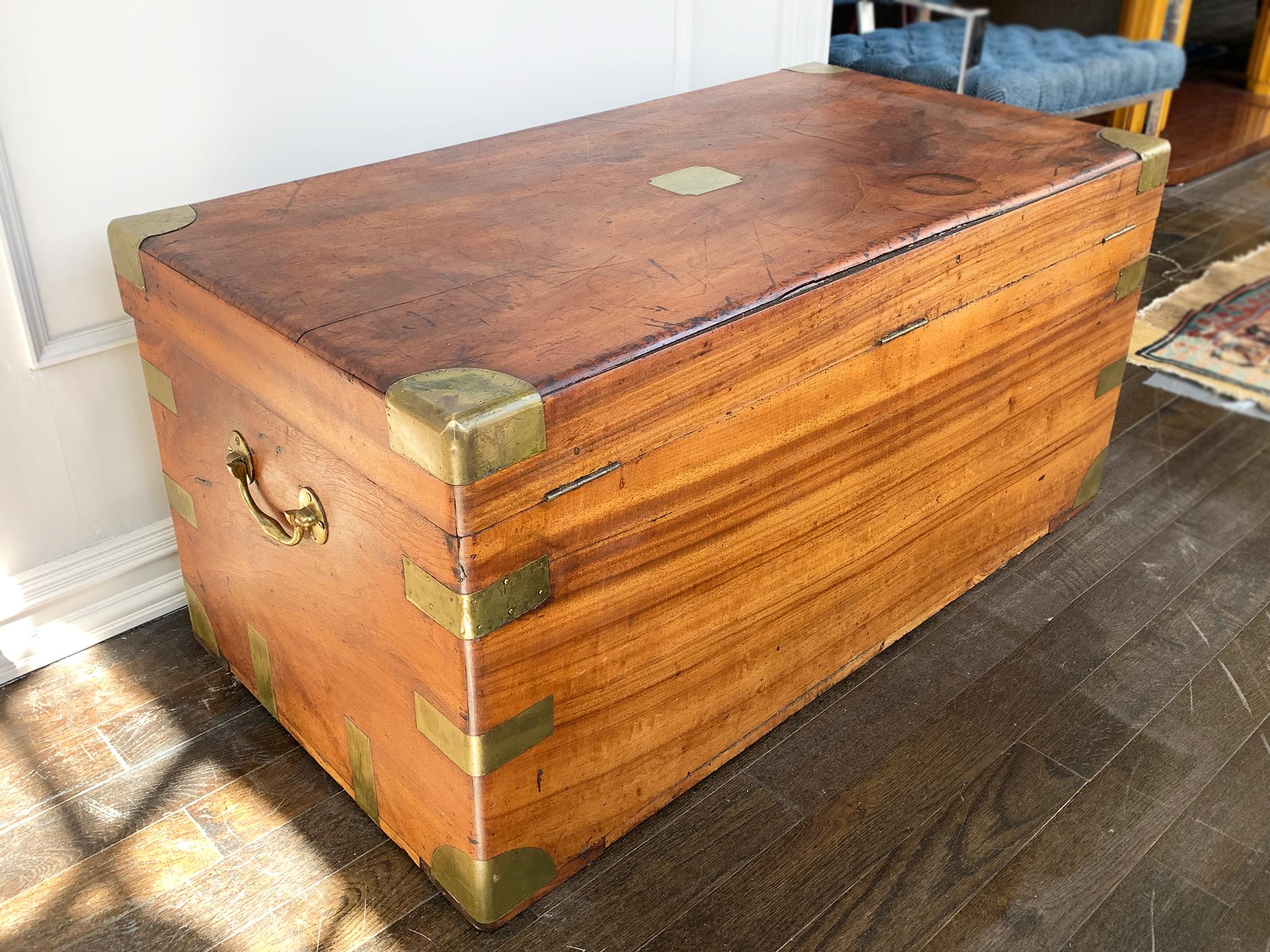 Cassapanca in legno di canfora rilegata in ottone del XIX secolo in vendita 11