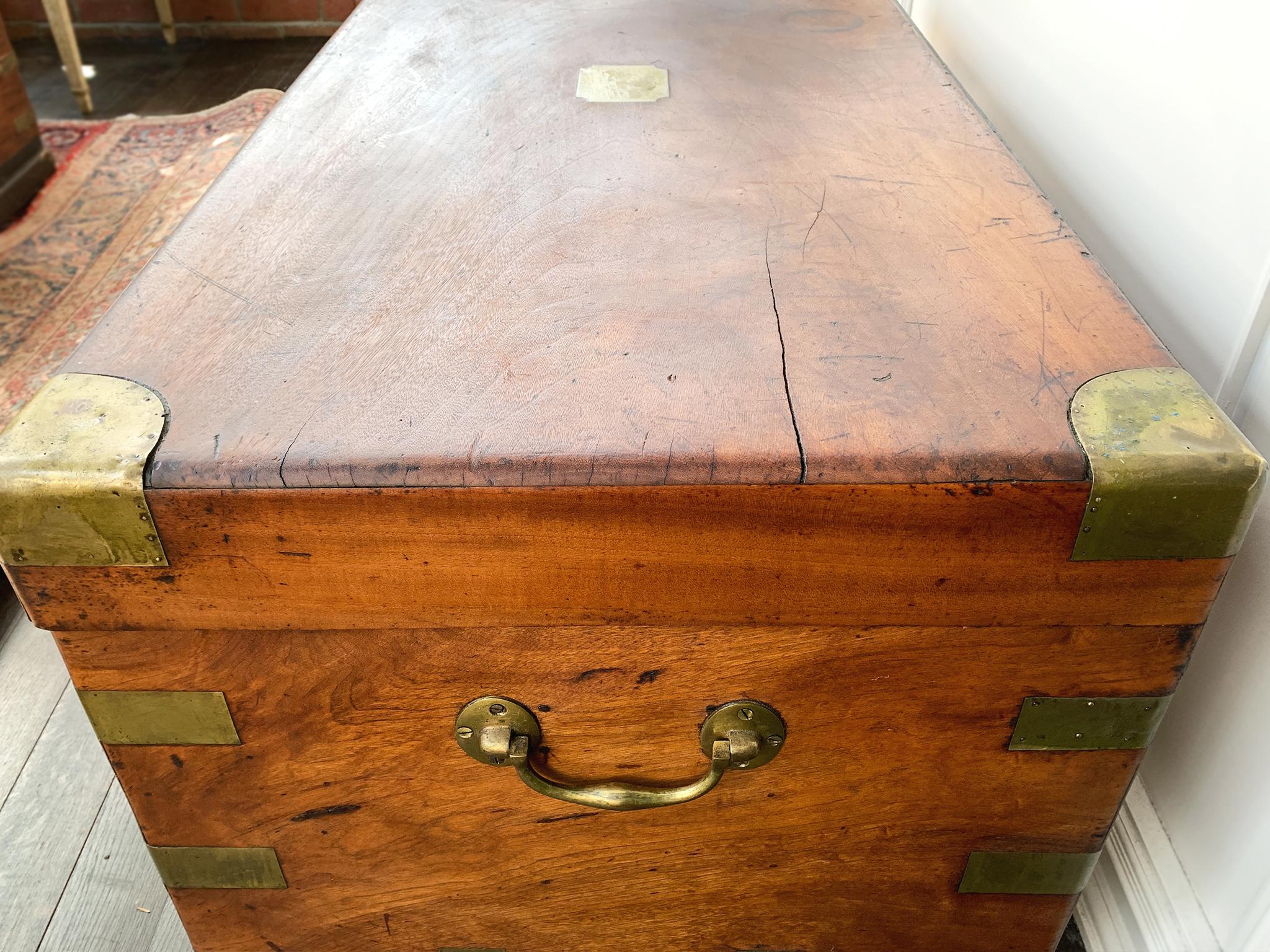 Cassapanca in legno di canfora rilegata in ottone del XIX secolo in vendita 3