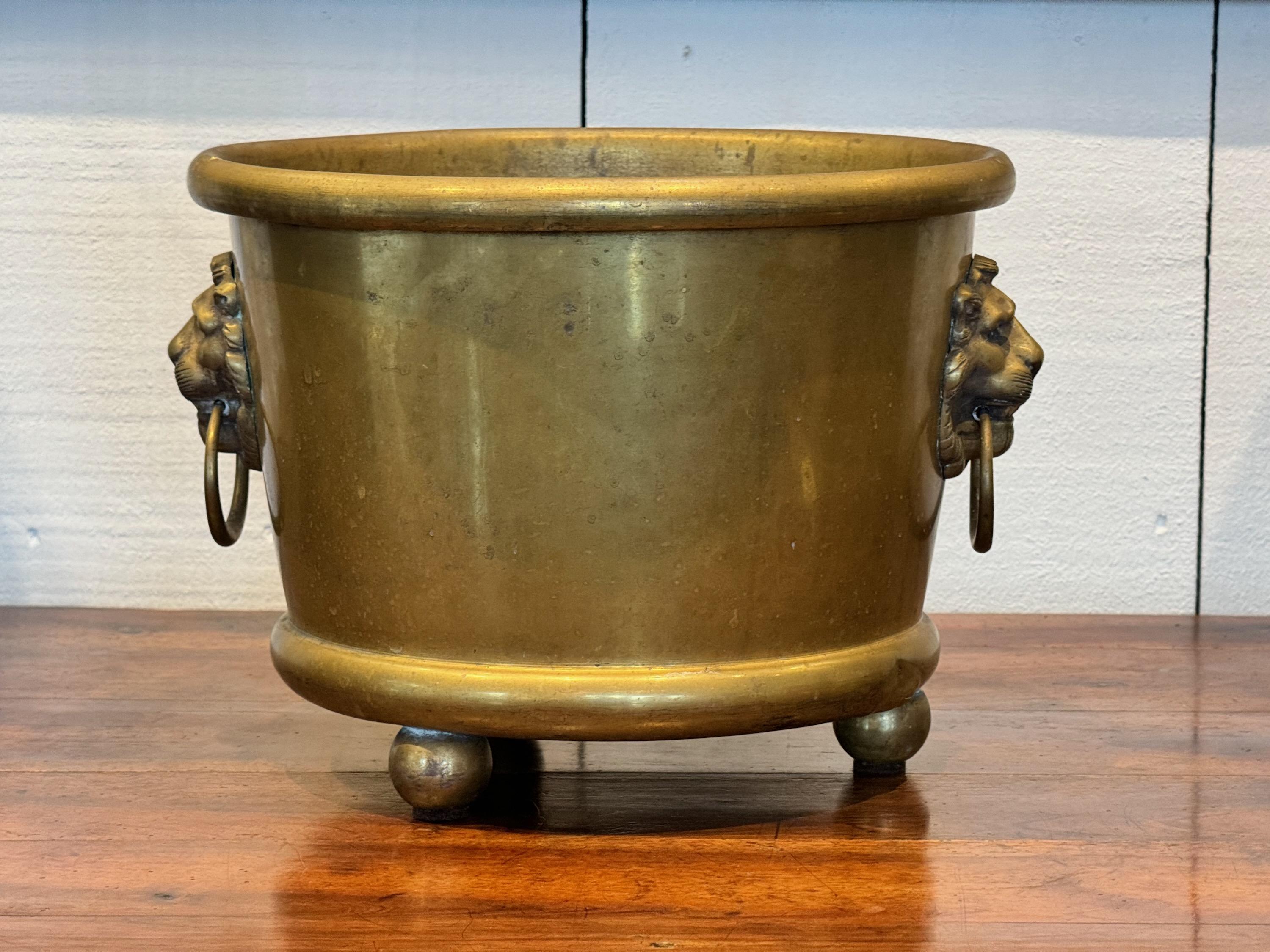 A handsome brass pot with lions head handles. Beautiful with flowers.
