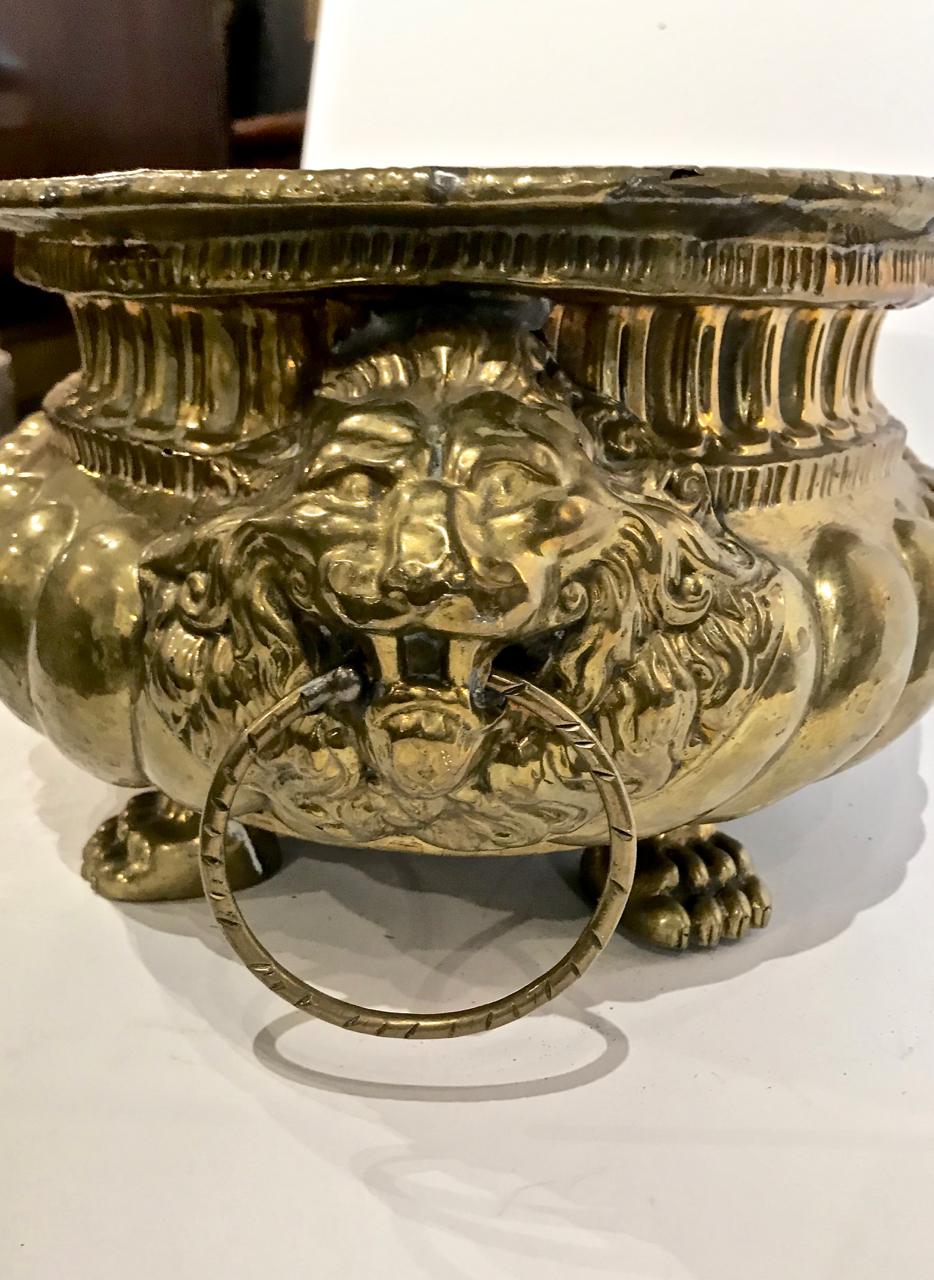 Neoclassical Dutch Brass Wine Cooler or Planter