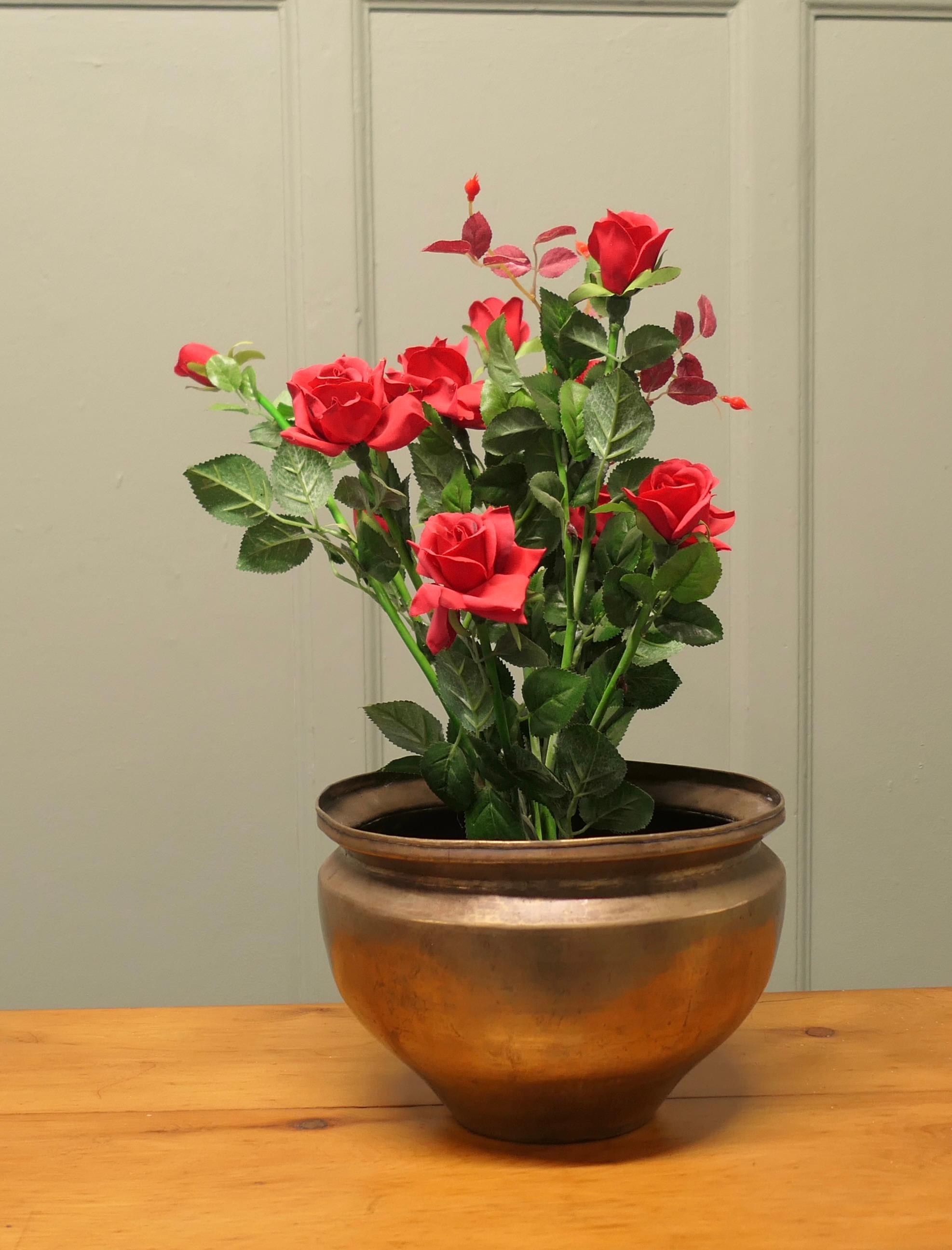 19th Century Brass Planter

This is a good quality hand made Brass planter, it is made in beaten brass and has a very attractive patina
The pot is in  good condition, it is 8” high, and 13” in diameter
TAH131
