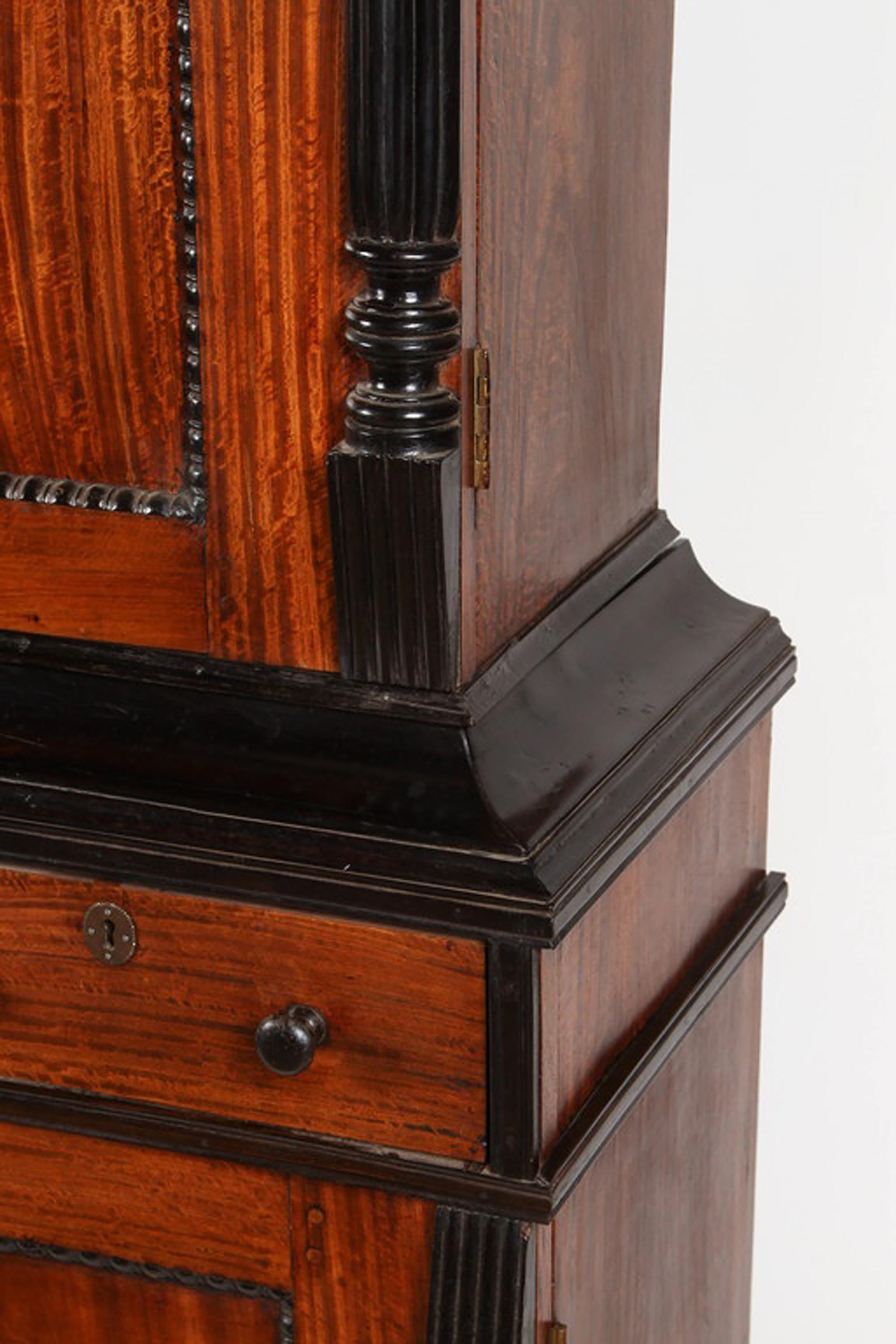 19th Century British Colonial Ceylonese Satinwood and Ebony Cabinet For Sale 5