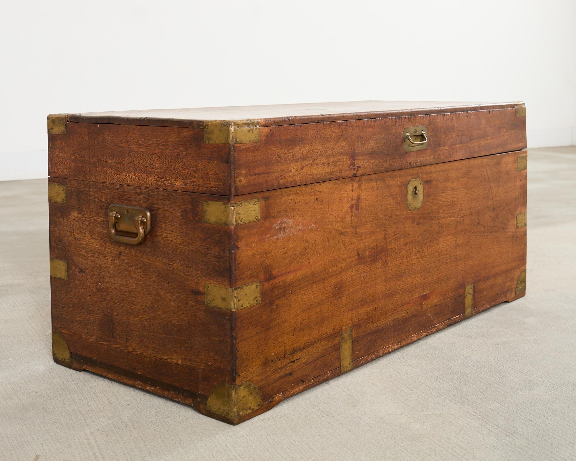 English 19th Century British Officer's Camphor Wood Brass Campaign Trunk For Sale