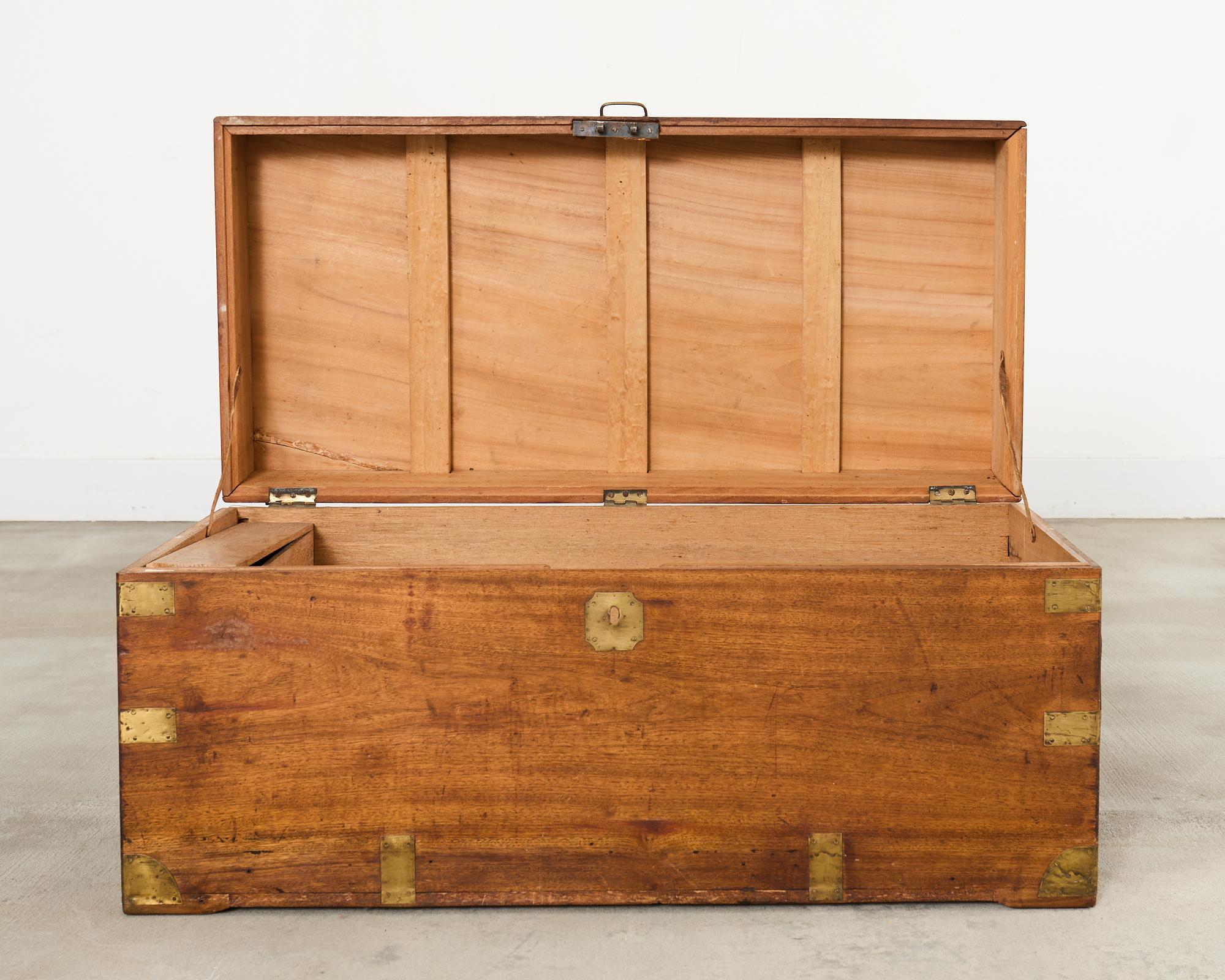 19th Century British Officer's Camphor Wood Brass Campaign Trunk For Sale 3
