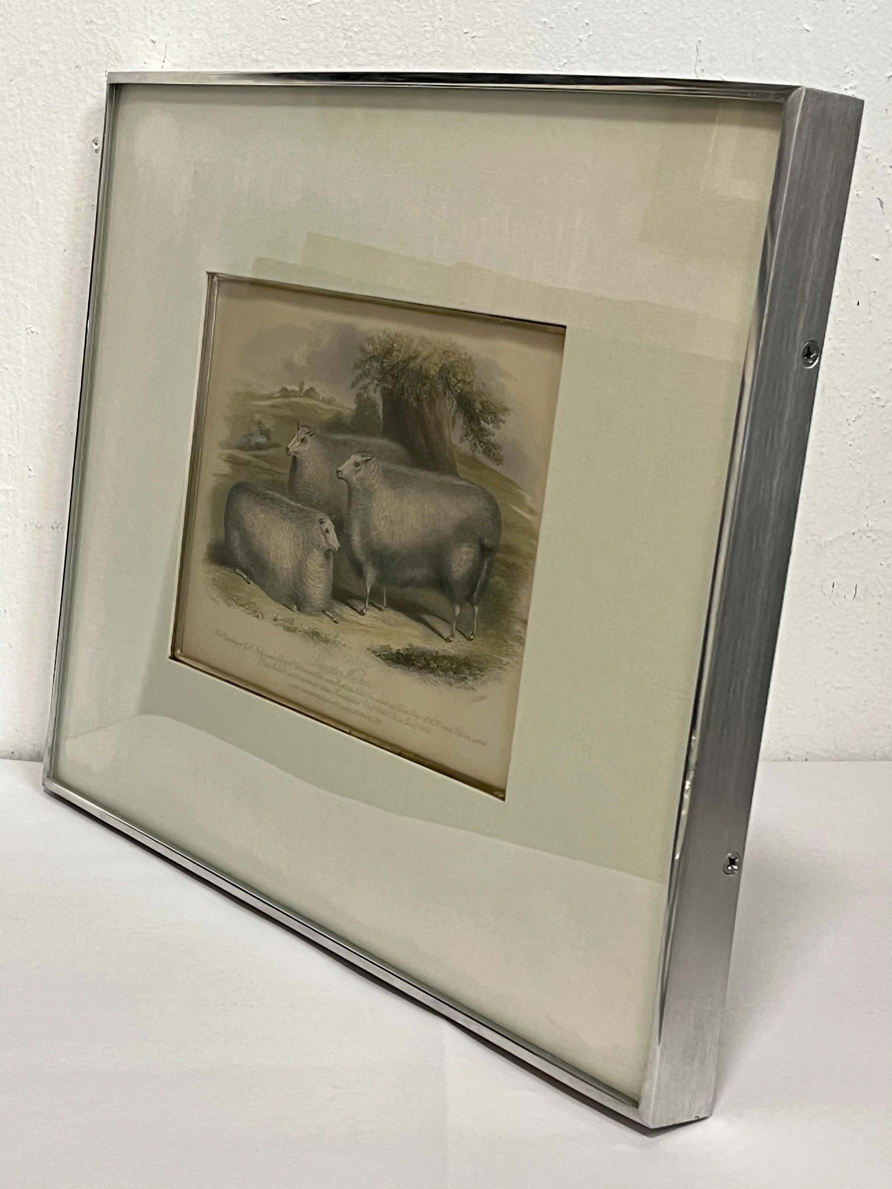 English 19th Century British Print by H. Stafford of Leicester Wethers in Kulicke Frame