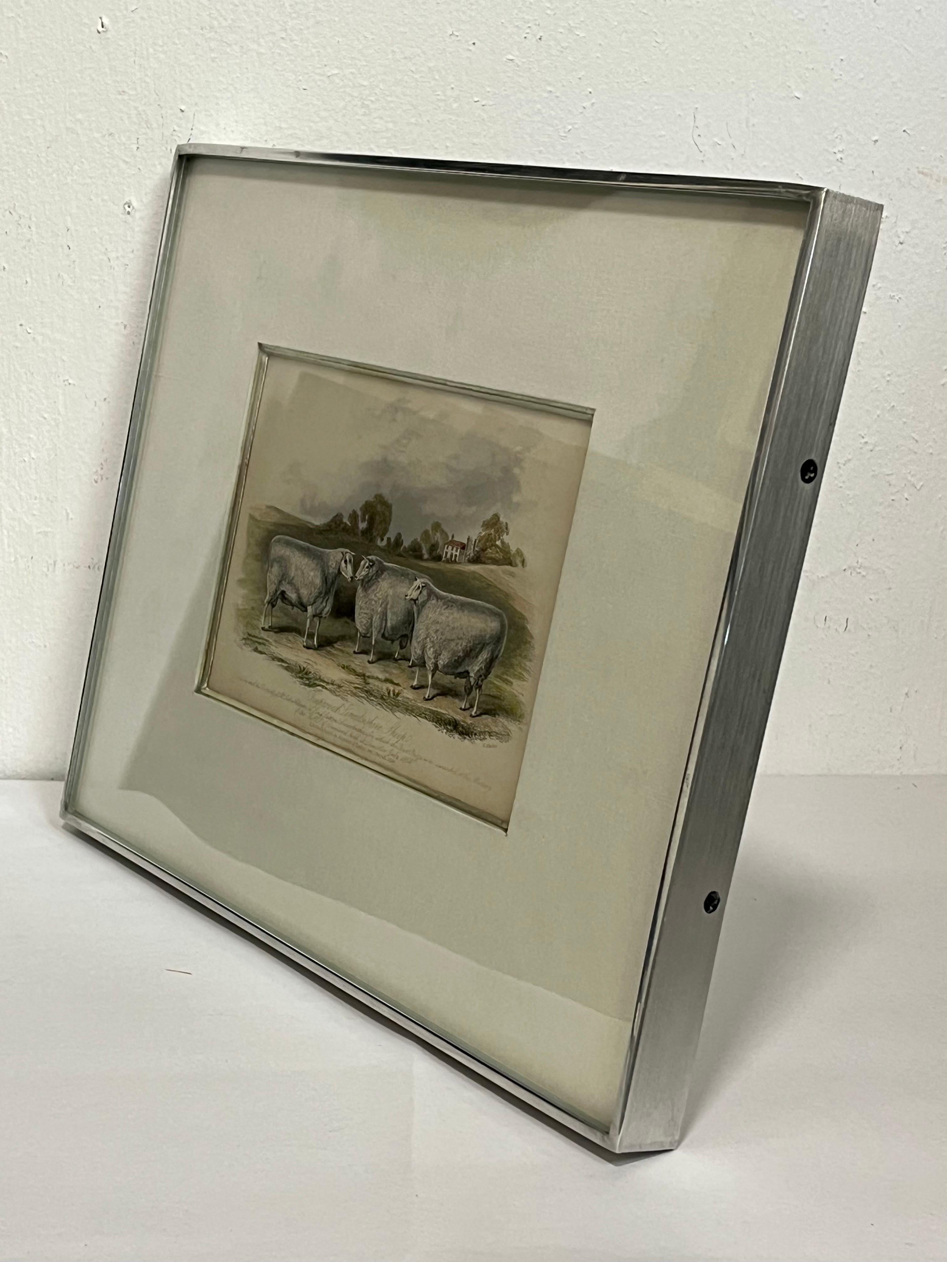 English 19th Century British Print of Improved Lincolnshire Sheep in Kulicke Frame For Sale