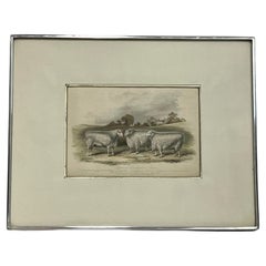 Impression britannique du 19ème siècle de moutons du Lincolnshire approuvés dans un cadre Kulicke