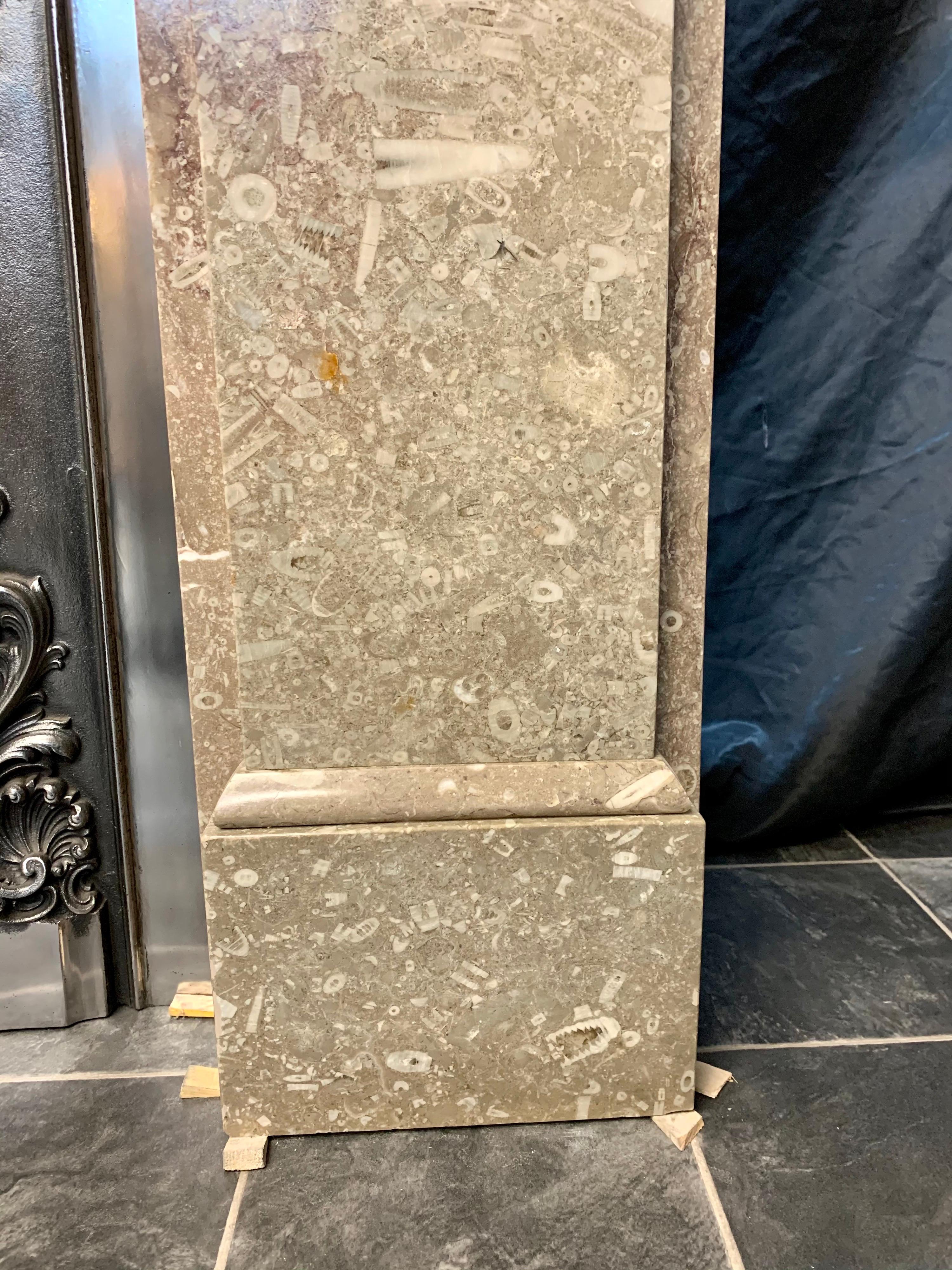 19th Century British Swaledale Marble Corbelled Fireplace Surround For Sale 3