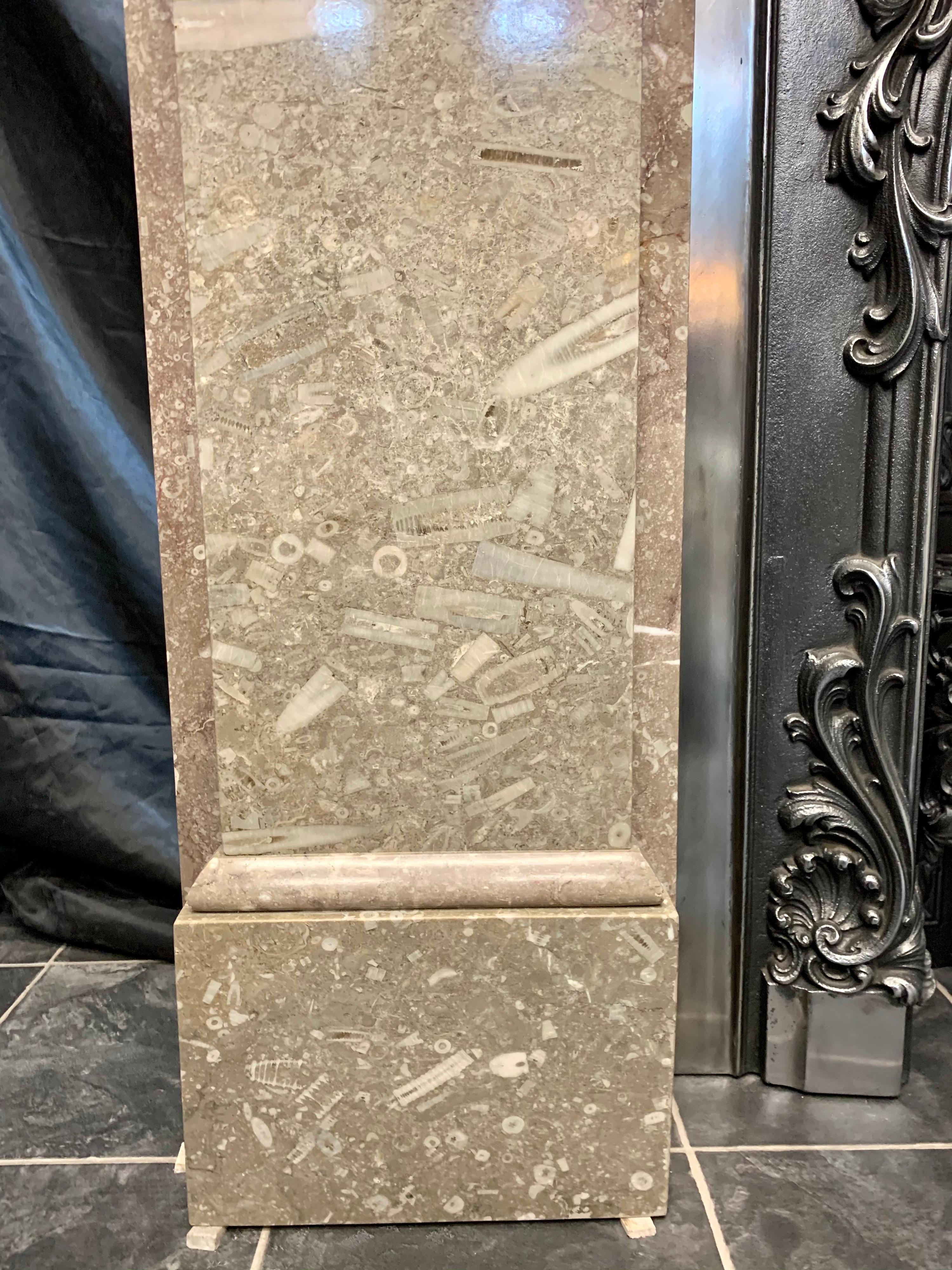 19th Century British Swaledale Marble Corbelled Fireplace Surround For Sale 5