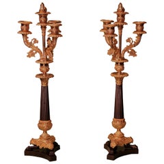 19th Century Bronze and Ormolu 4-Light Candelabras
