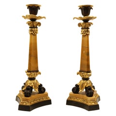 19th Century Bronze and Ormolu Candlesticks