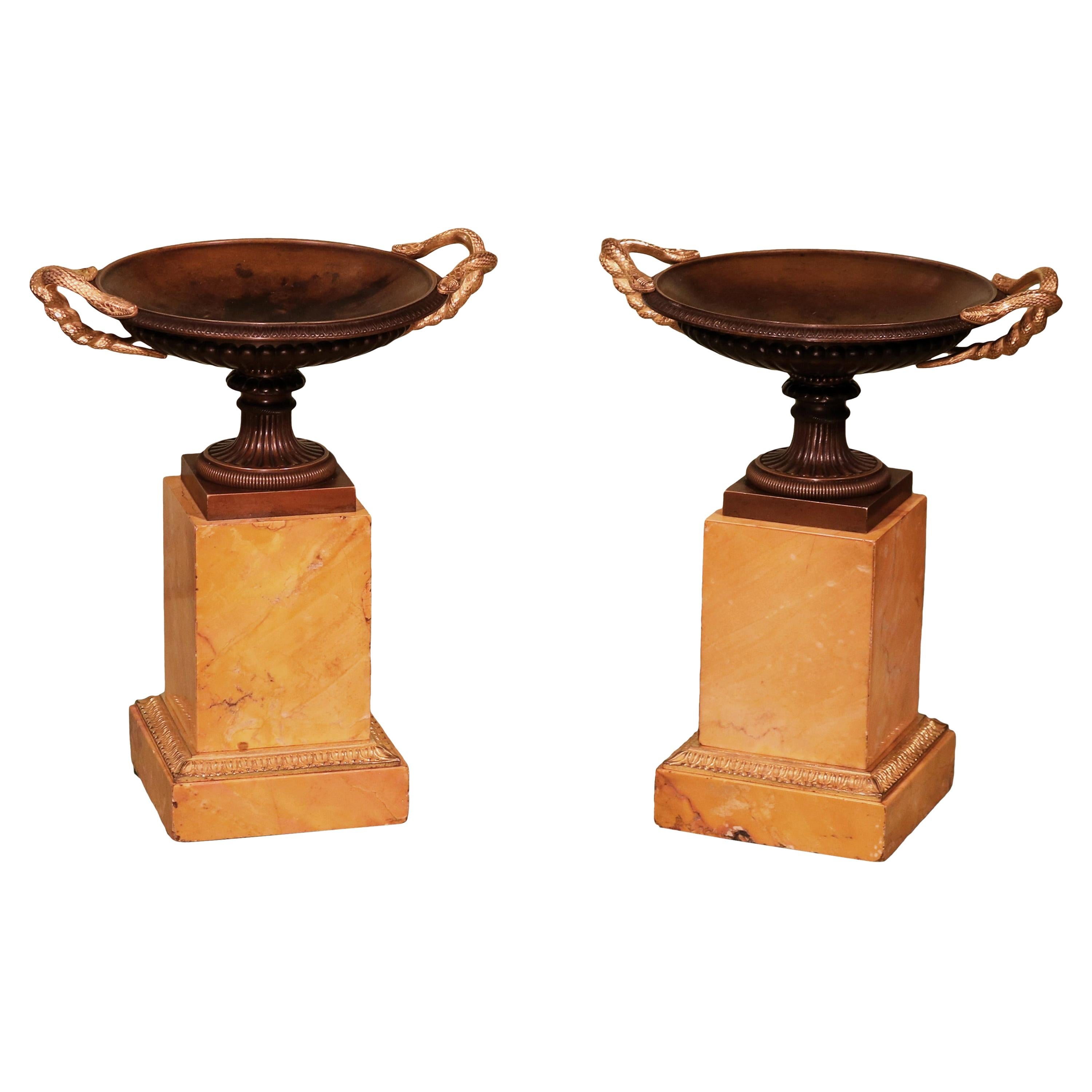 Tazze in bronzo e ormolu con serpenti del XIX secolo