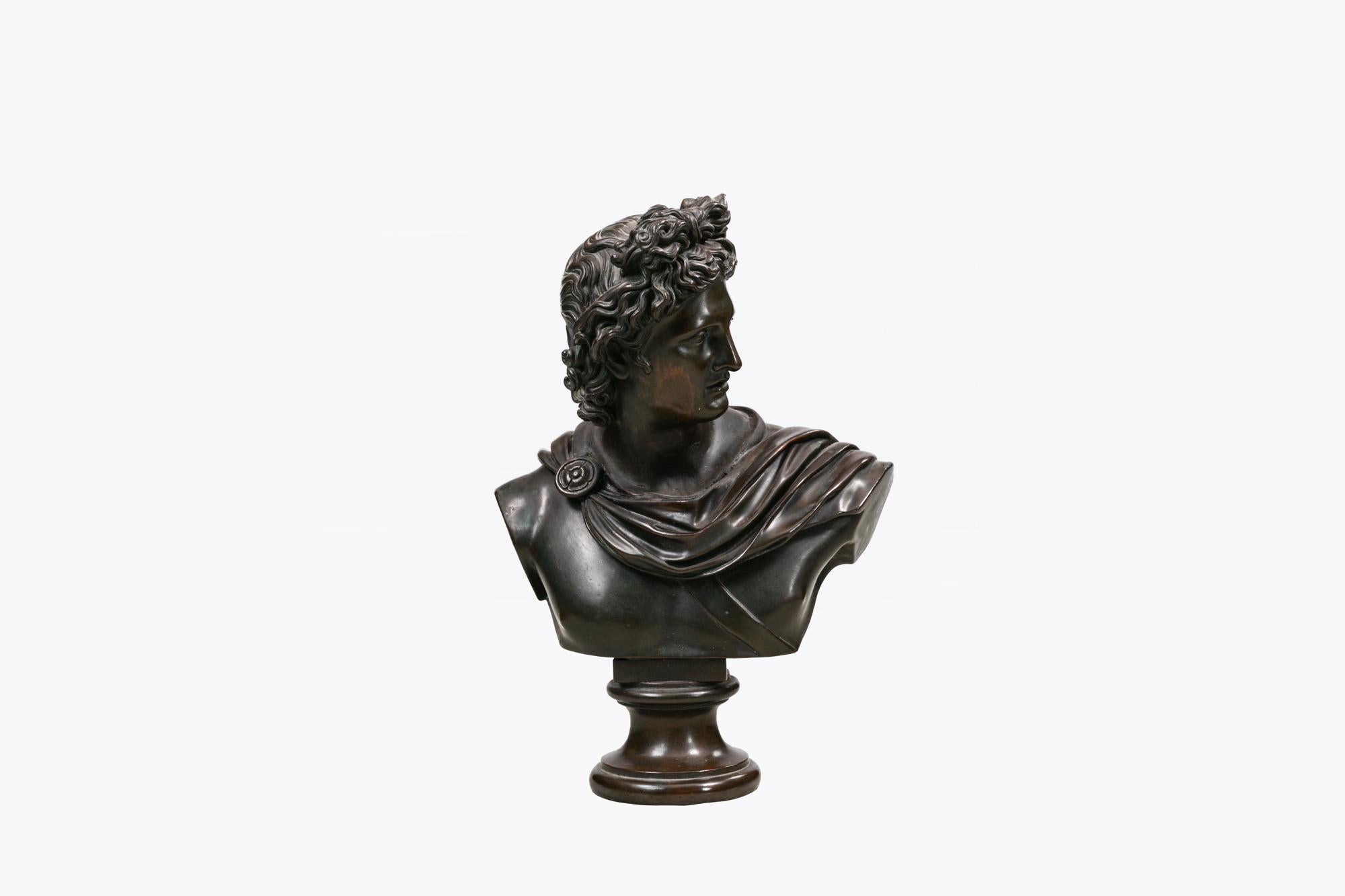 Busto in bronzo di Apollo Belvedere del XIX secolo In condizioni ottime in vendita a Dublin 8, IE