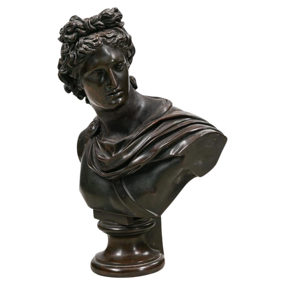 Busto de bronce de Apolo Belvedere del siglo XIX