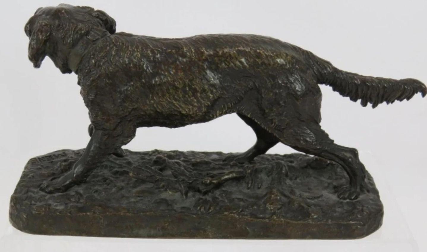 Bronzo Cane in bronzo del XIX secolo, setter, dopo P & A. Mene in vendita