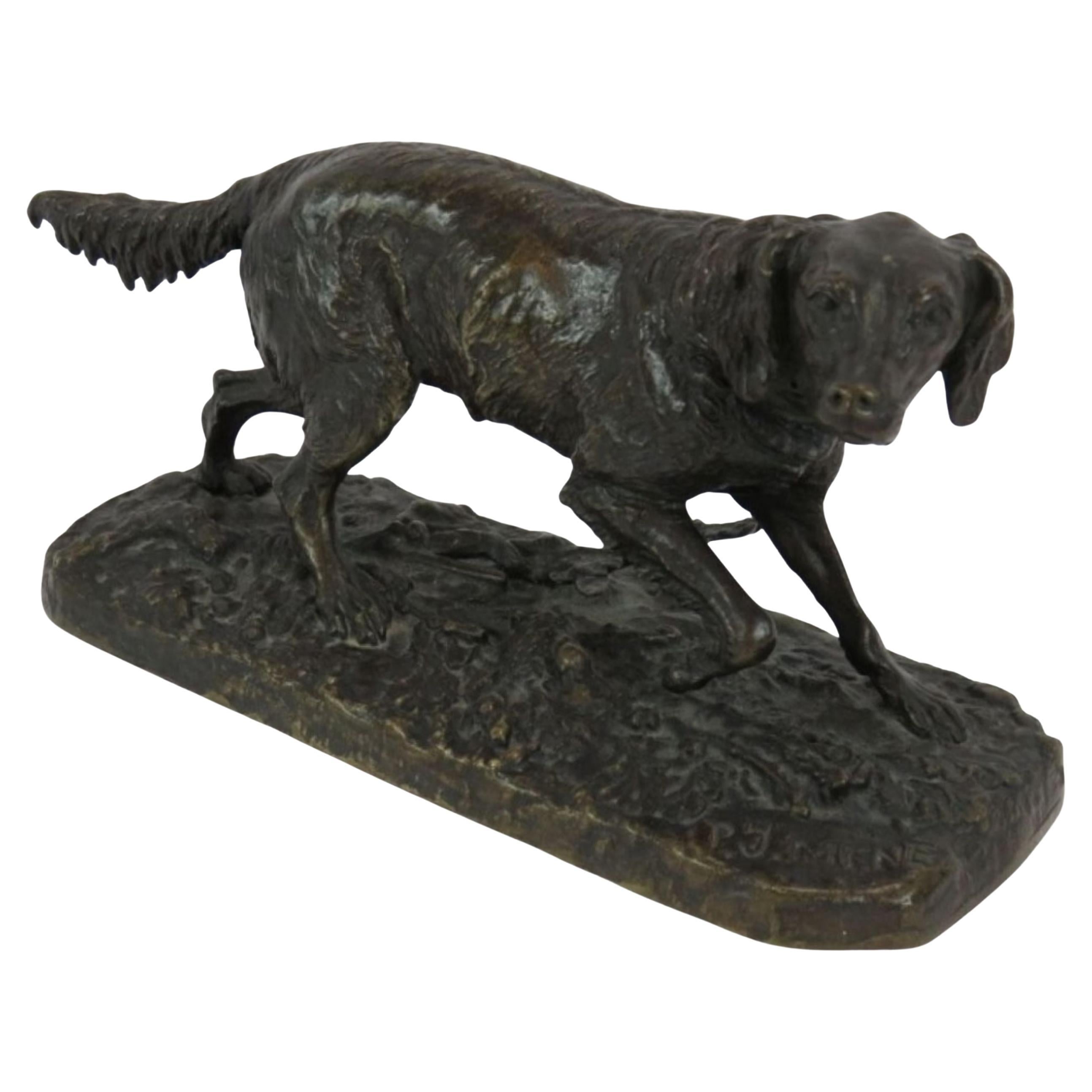 Cane in bronzo del XIX secolo, setter, dopo P & A. Mene