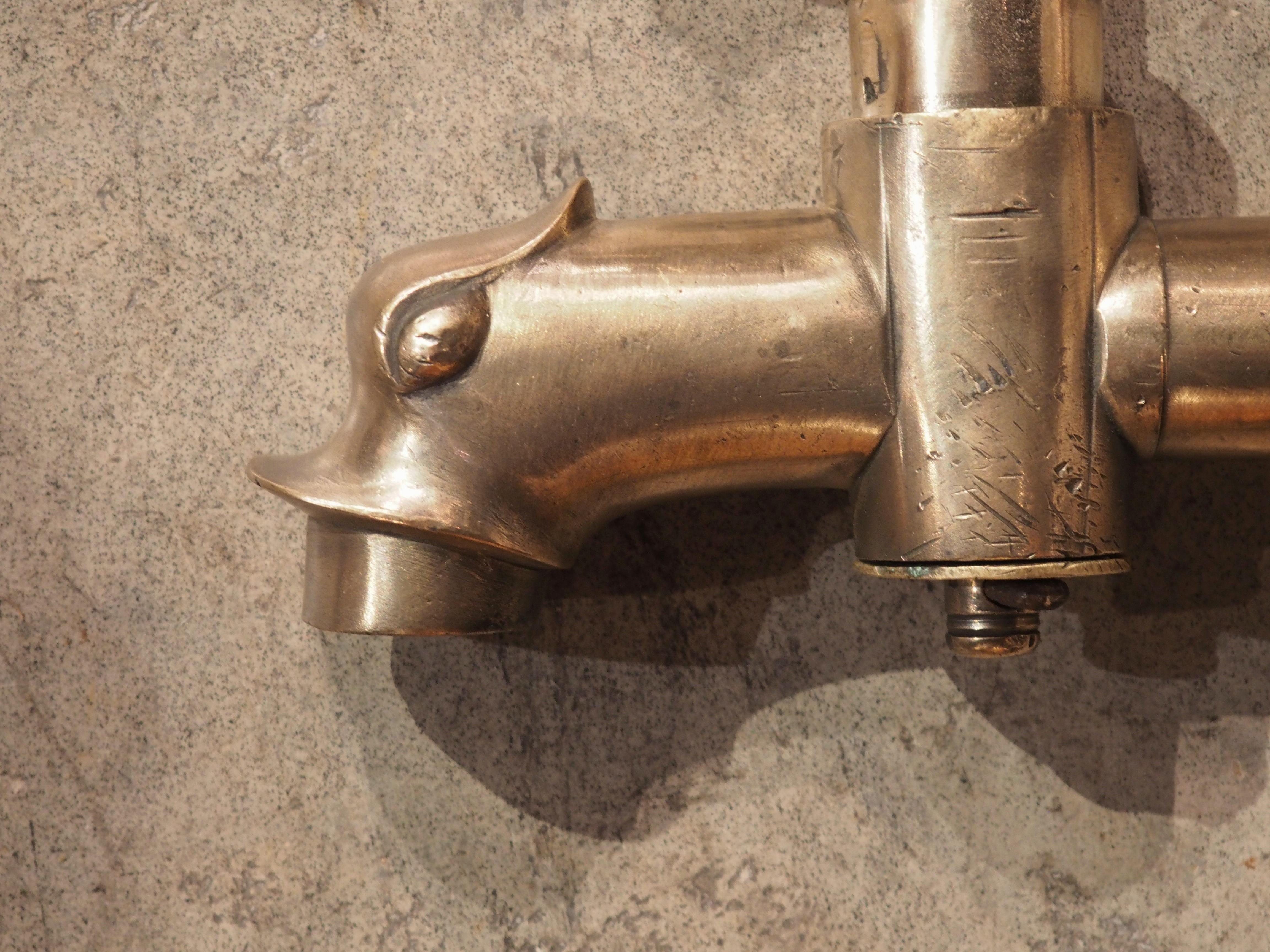dolphin spout