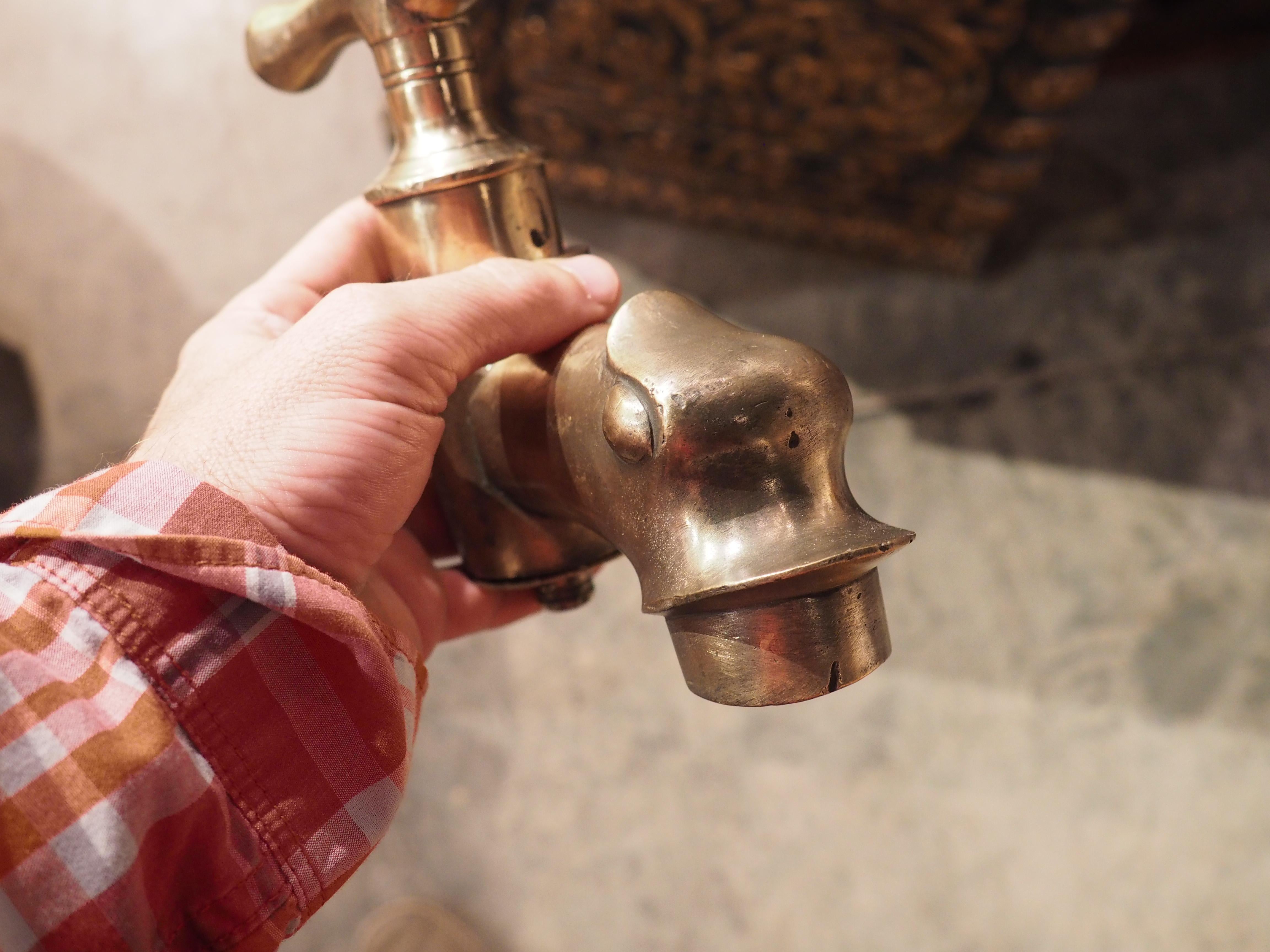 19th Century Bronze Dolphin Form Barrel Spout from France 1