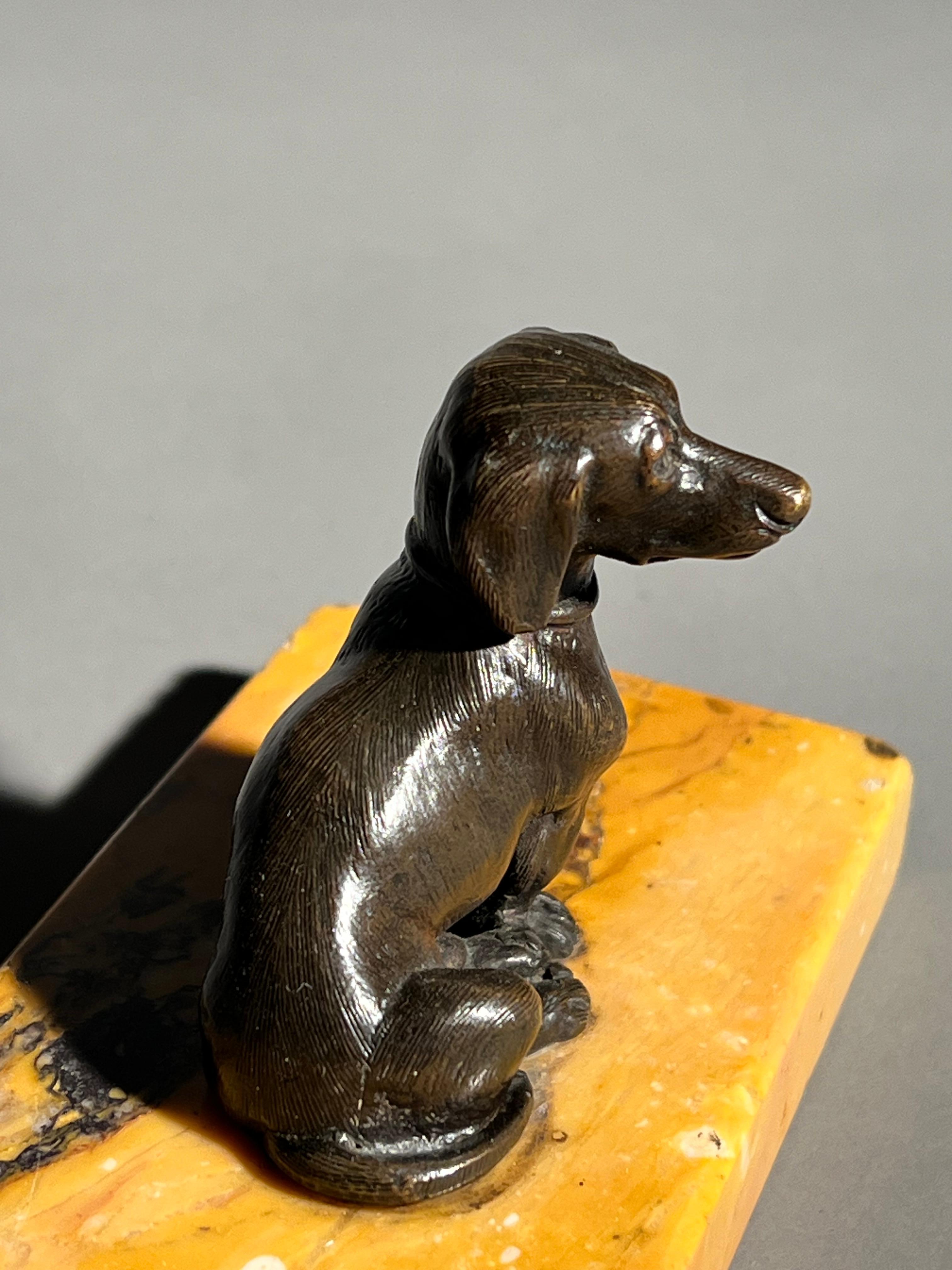 Teckel en bronze du XIXe siècle sur socle en marbre de Sienne en vente 2