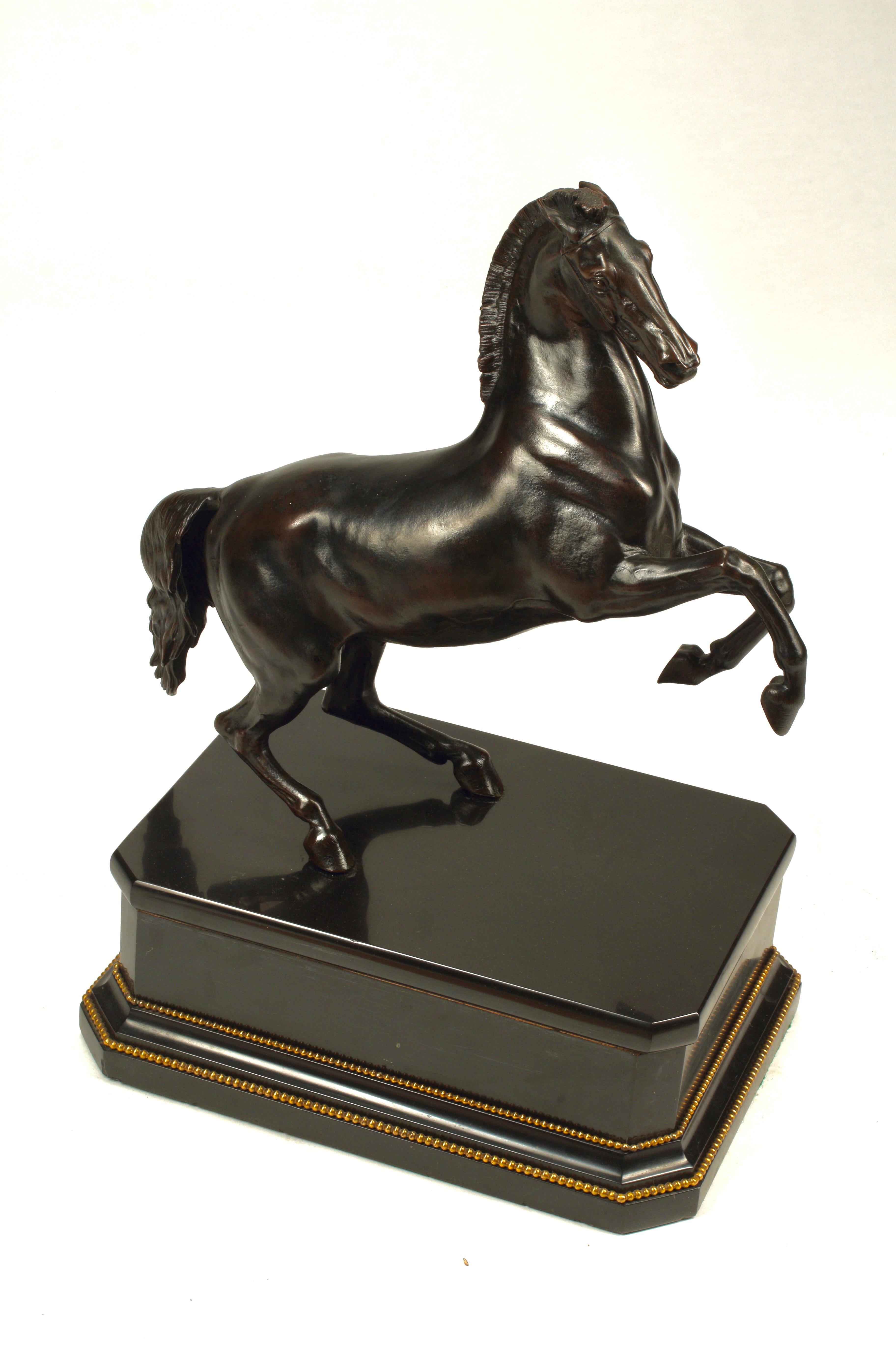 A handsome 19th century Continental patinated bronze model of a rearing horse on a bronze mounted black marble plinth. Exhibits a dark brown patina to surface. General marks, scratches, rubbing, wear consistent with age and use of piece.