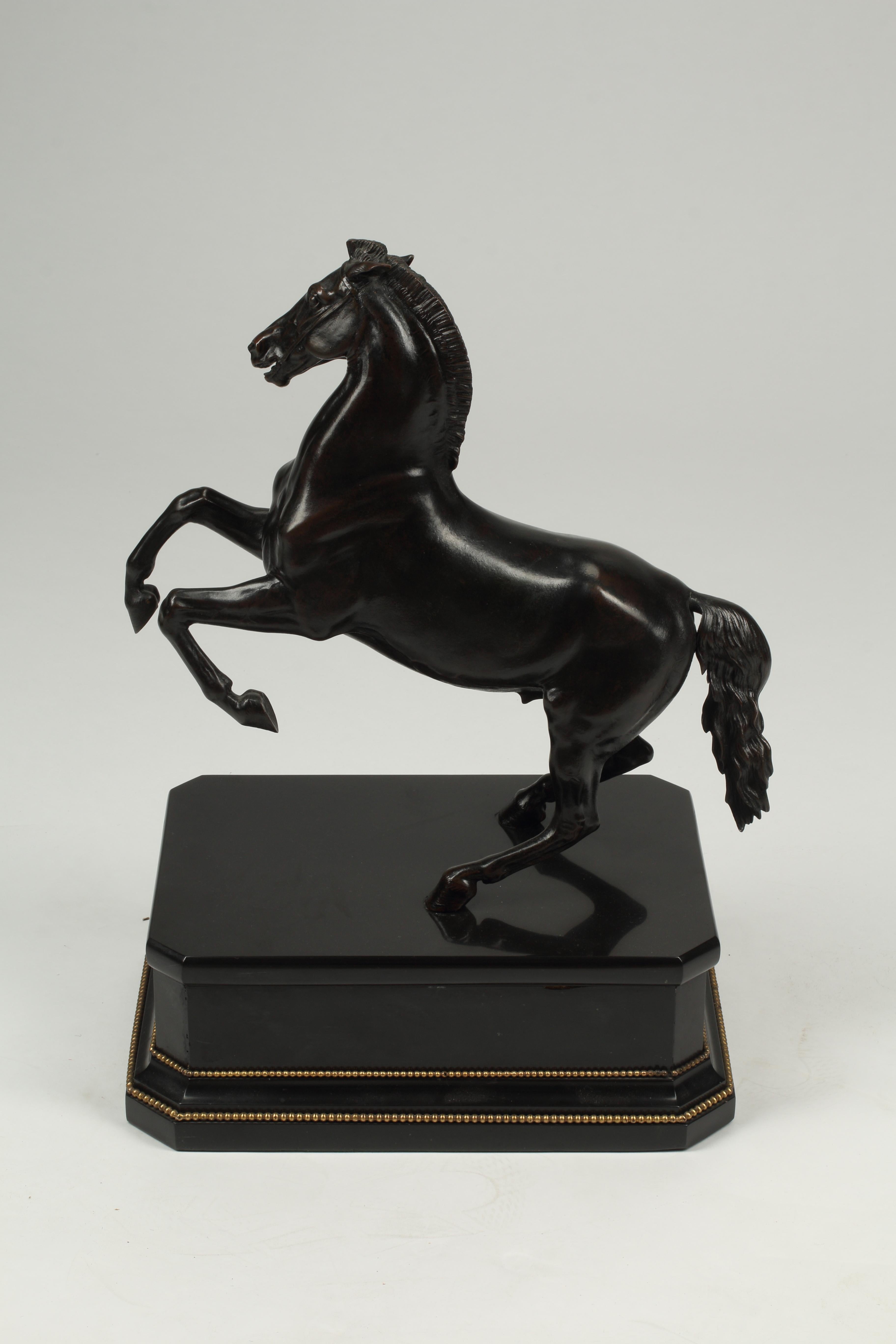 Patinated 19th Century Bronze Horse on Marble Plinth 