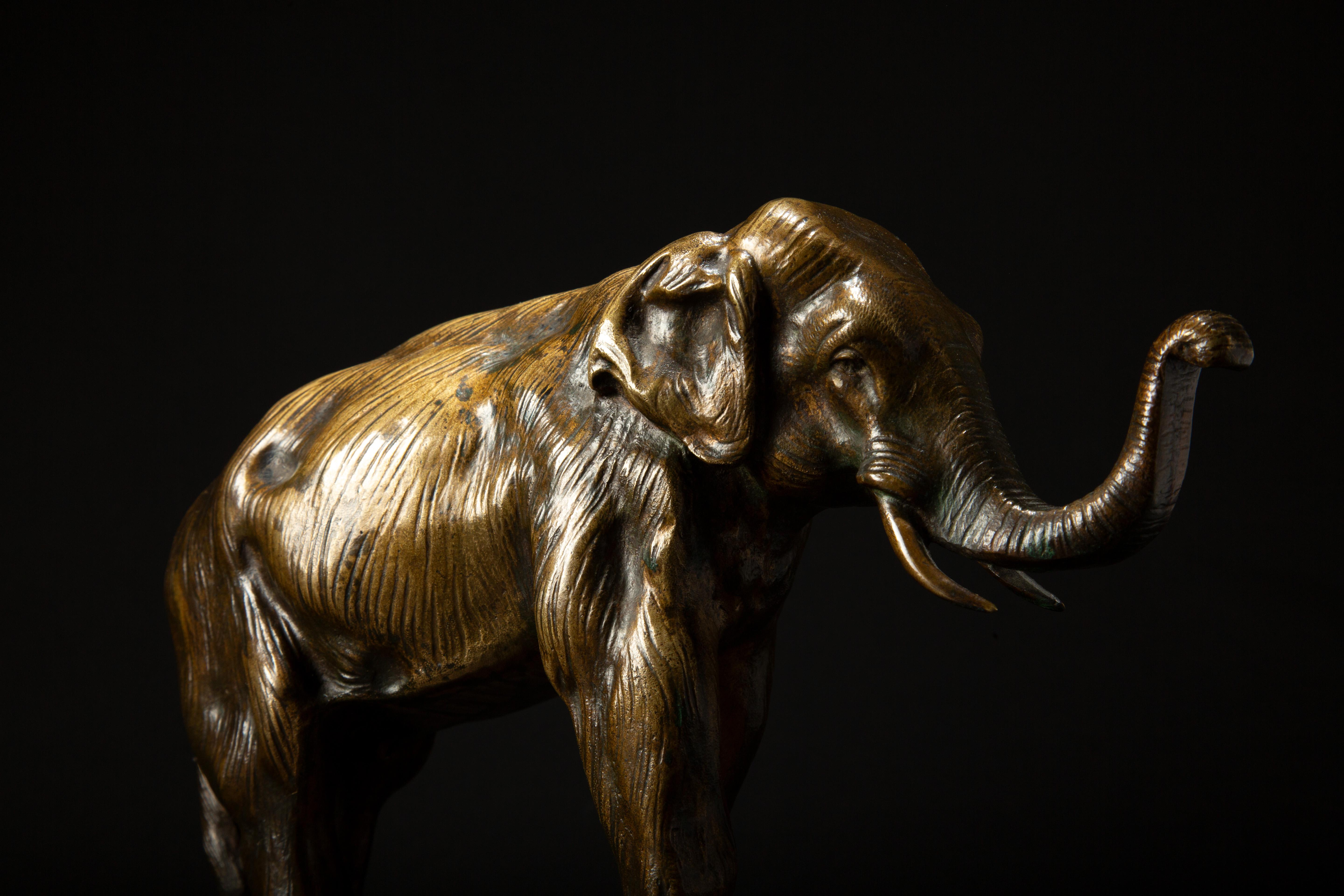 Napoleon III 19th Century Bronze of a Elephant Signed Bayre