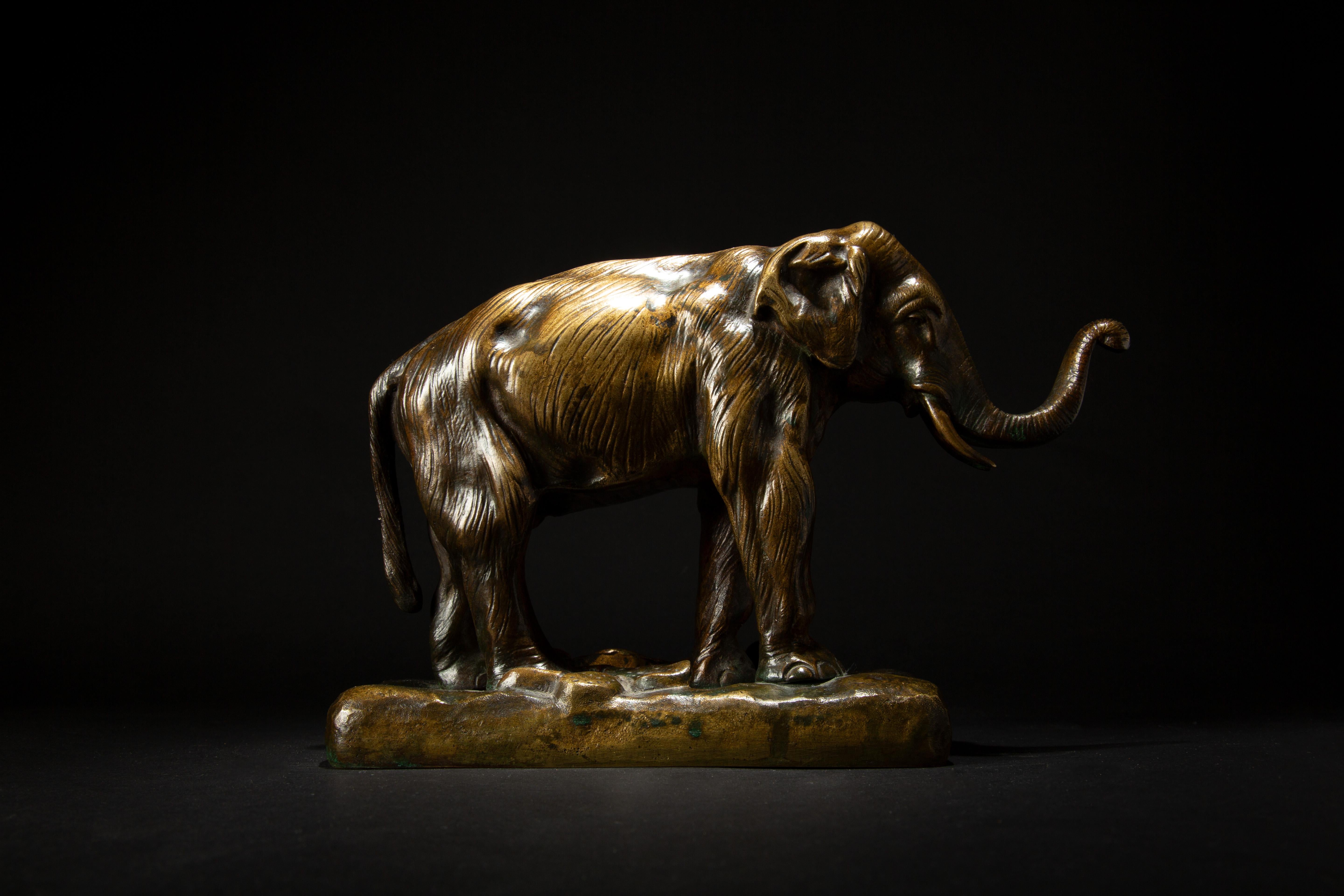 French 19th Century Bronze of a Elephant Signed Bayre