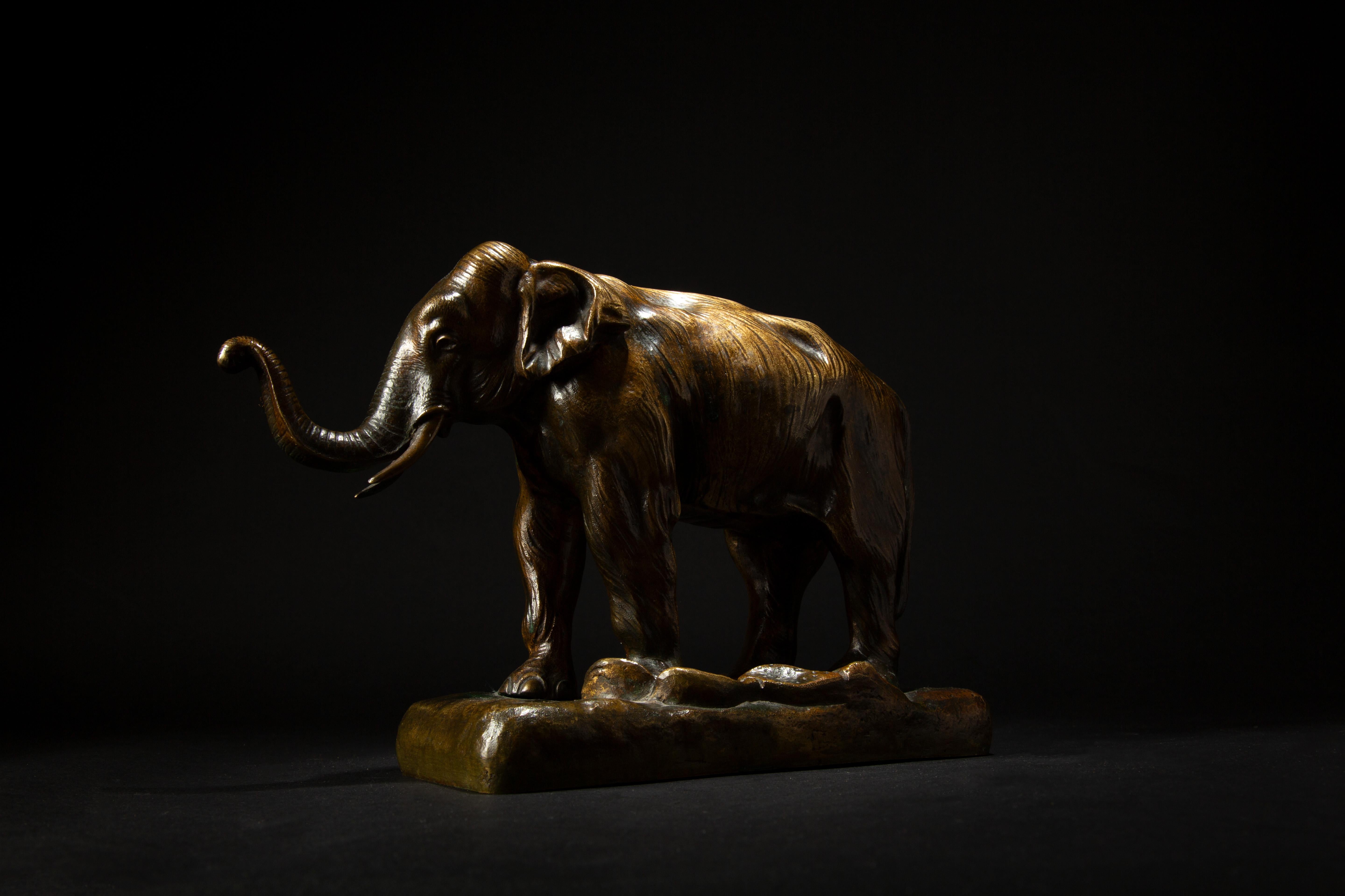19th Century Bronze of a Elephant Signed Bayre 1