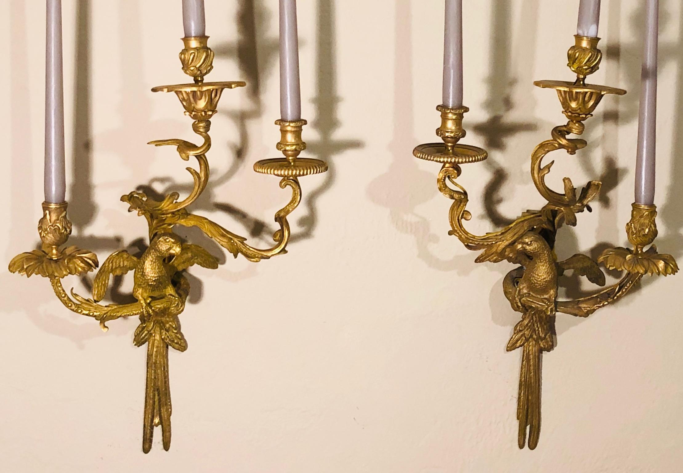 Louis XV 19th Century Bronze Ormolu Duc d'Enghein Appliques Electric Sconces Pair, France For Sale