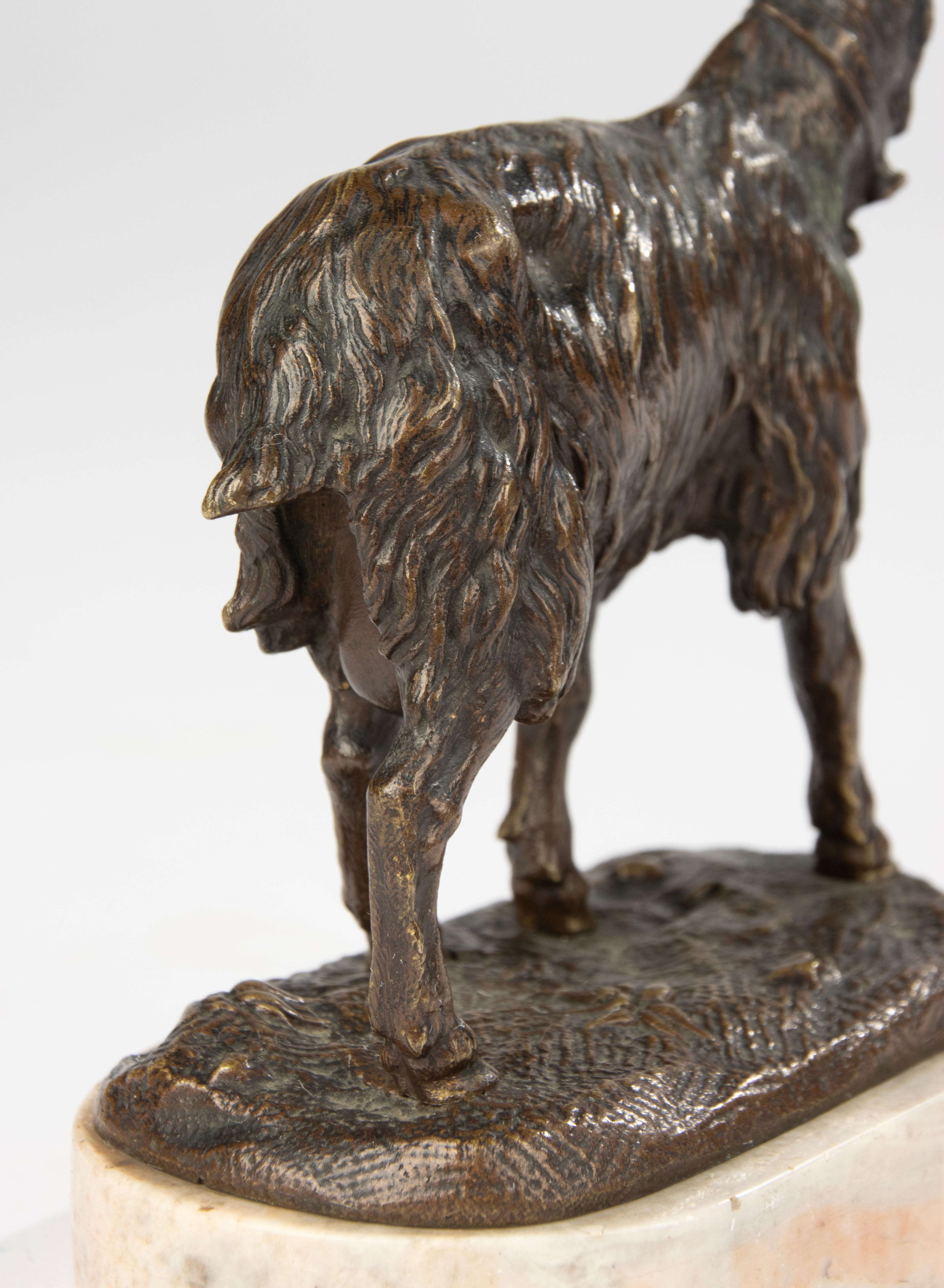 19th Century Bronze Sculpture of a Goat - Bronze Animal Sculpture For Sale 4