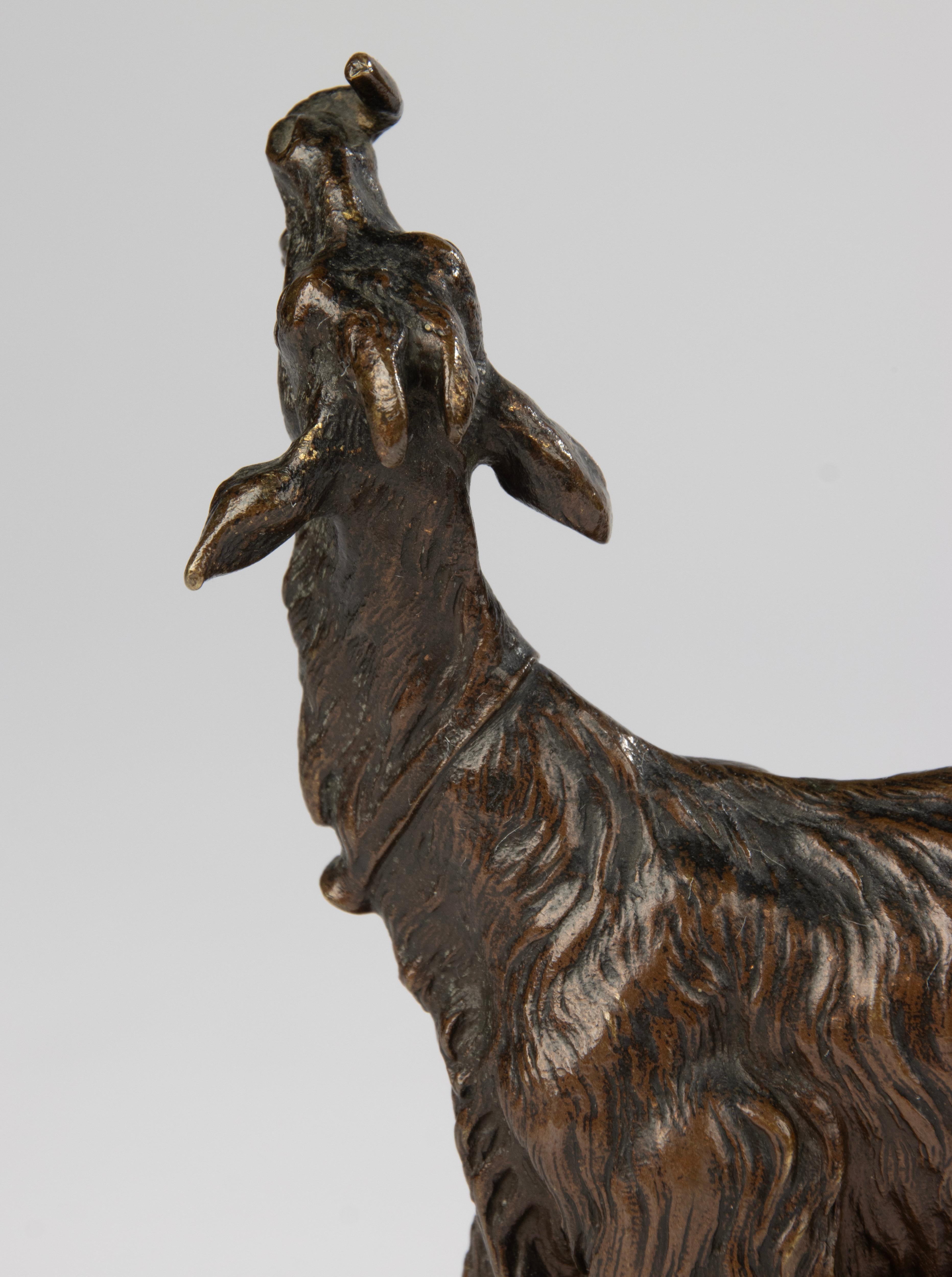 19th Century Bronze Sculpture of a Goat - Bronze Animal Sculpture For Sale 6