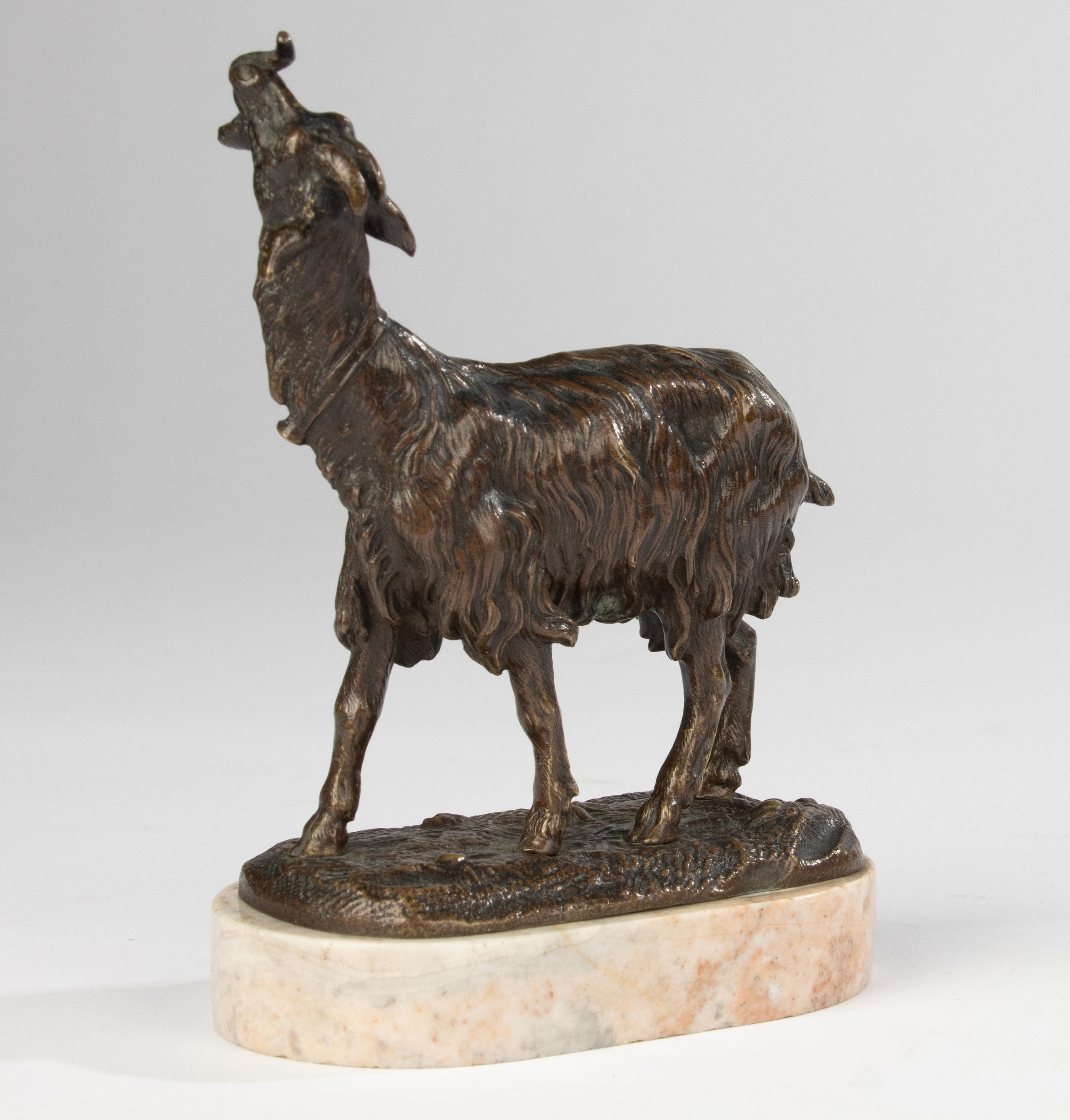 A beautiful antique bronze sculpture of a goat.
The bronze sculpture stands on a marble plinth. The statue is not marked, maker unknown.
The statue is of a beautiful quality: refined and detailed.
Beautiful old patina.
The statue is in good